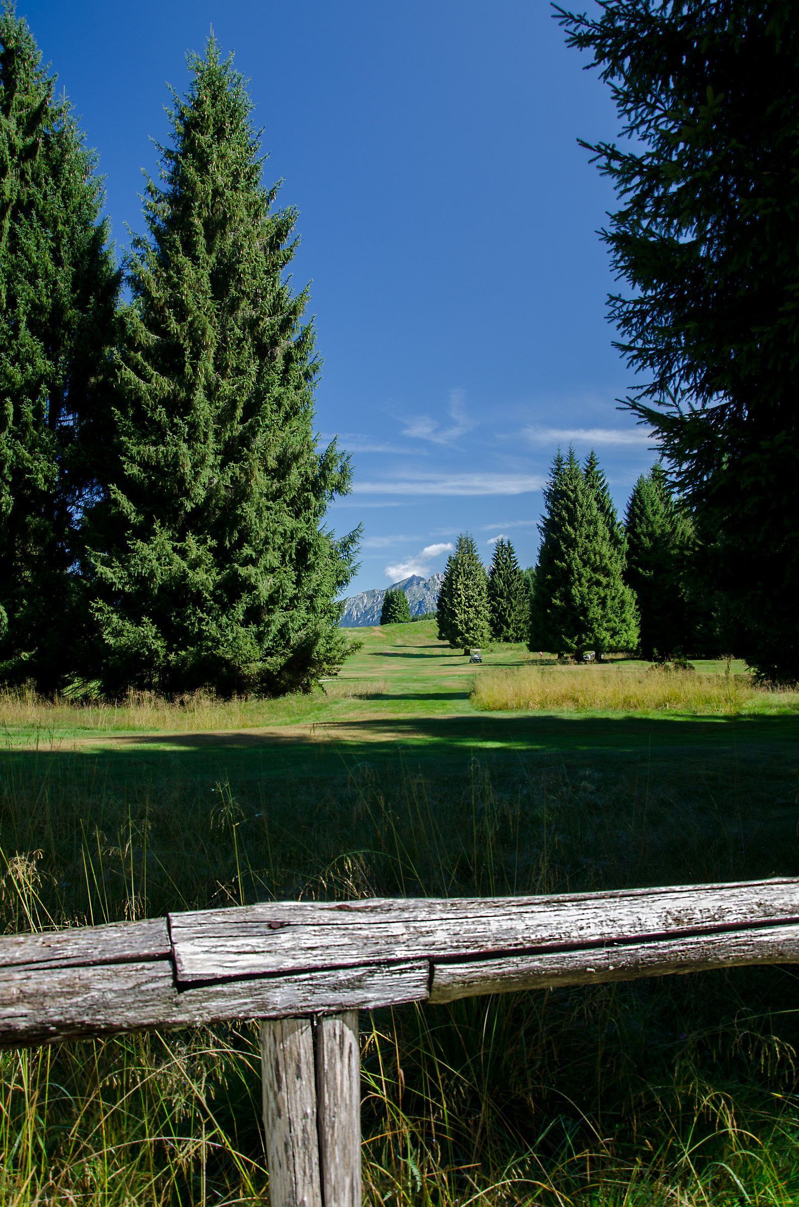 oltre la staccionata
