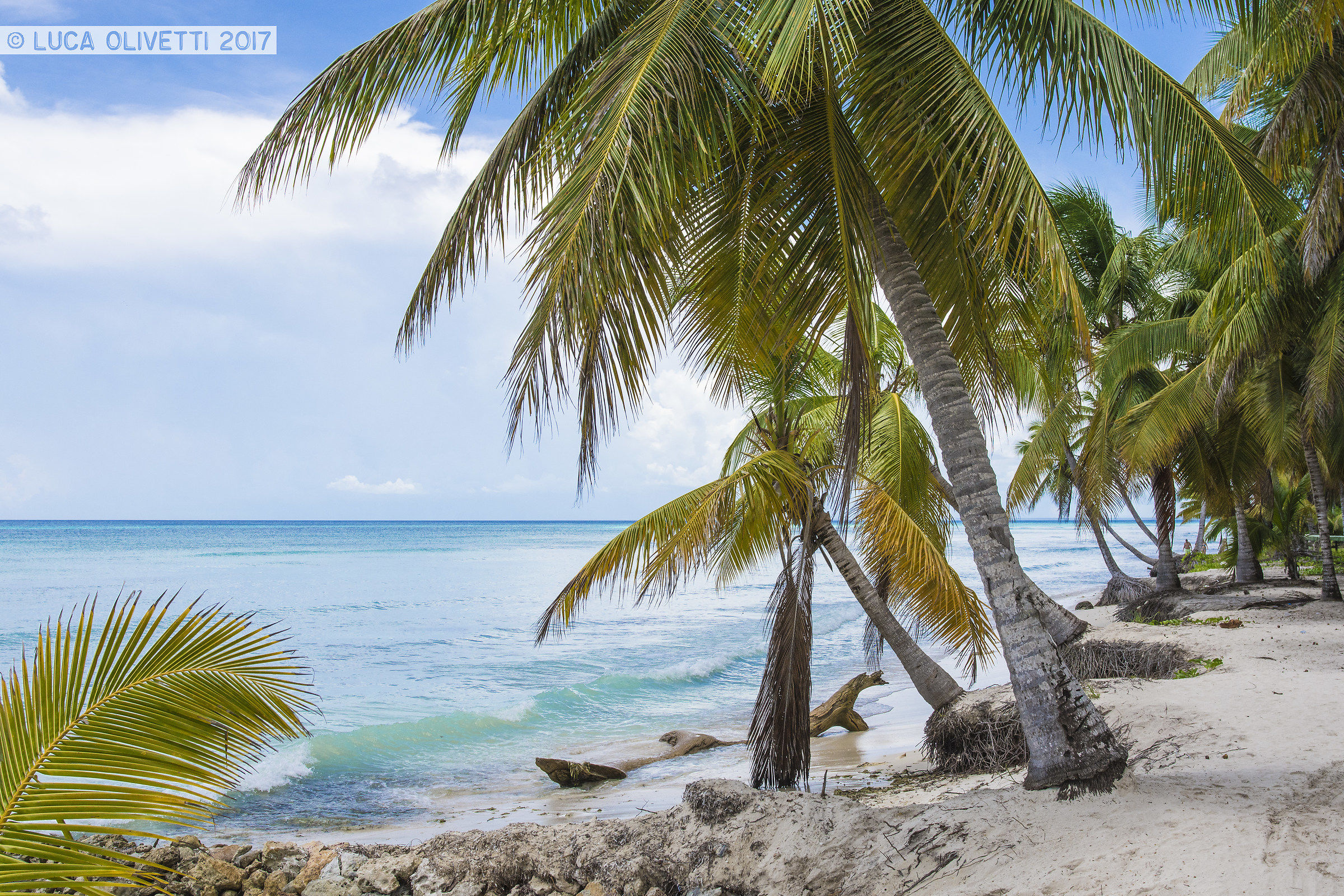 Isla Saona, Republica Dominicana