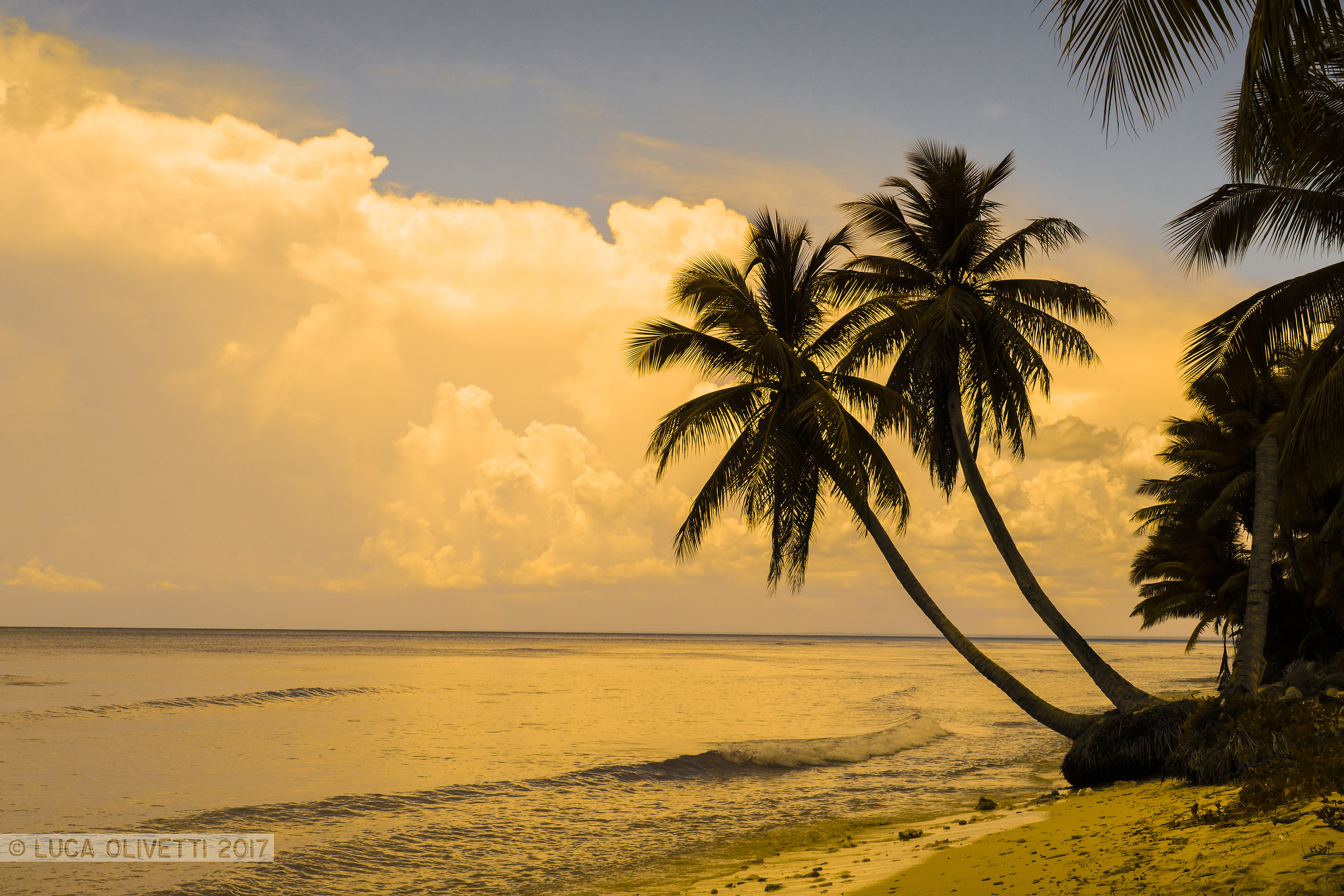 Isla Saona, Republica Dominicana