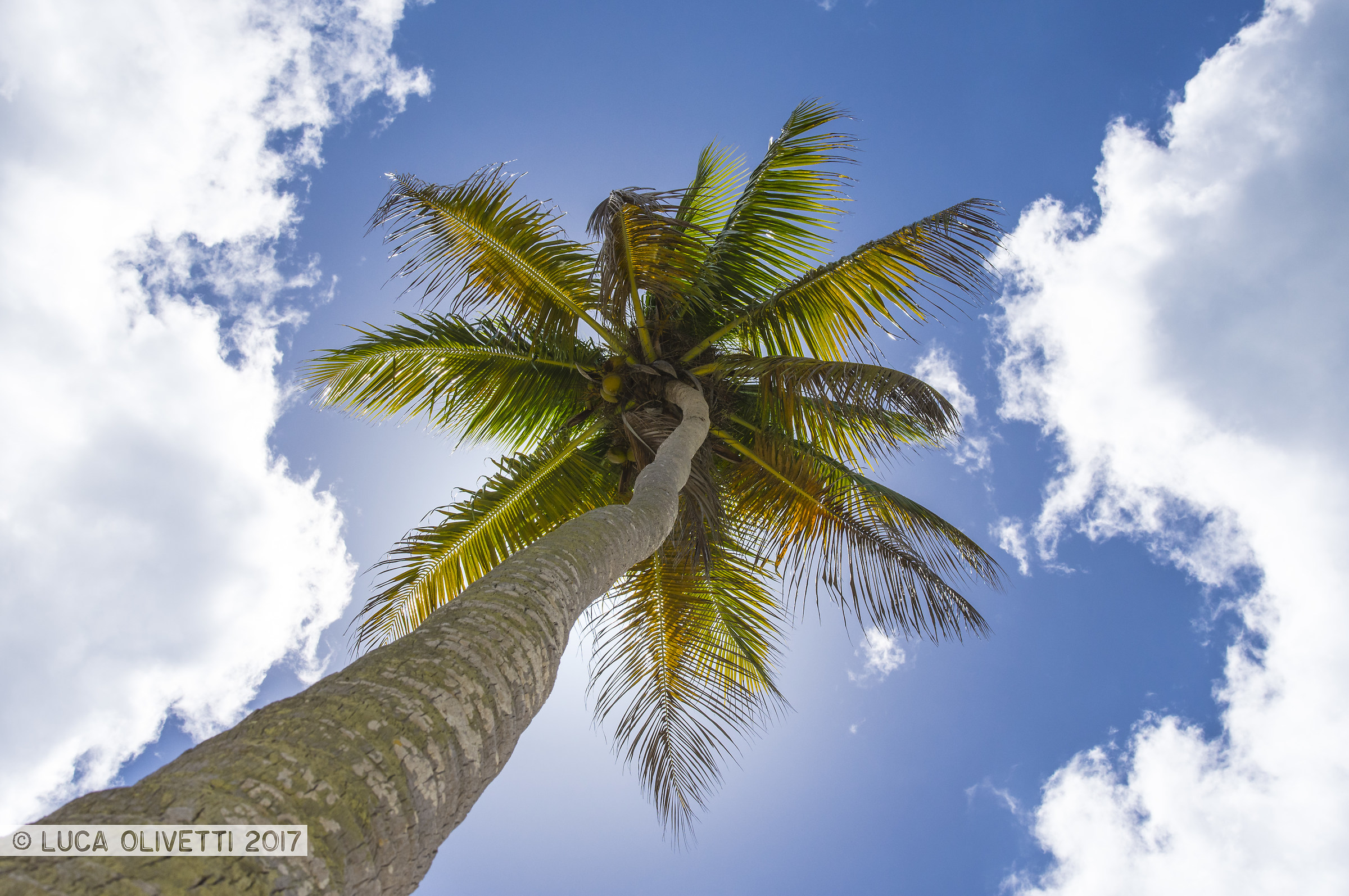Isla Saona, Republica Dominicana
