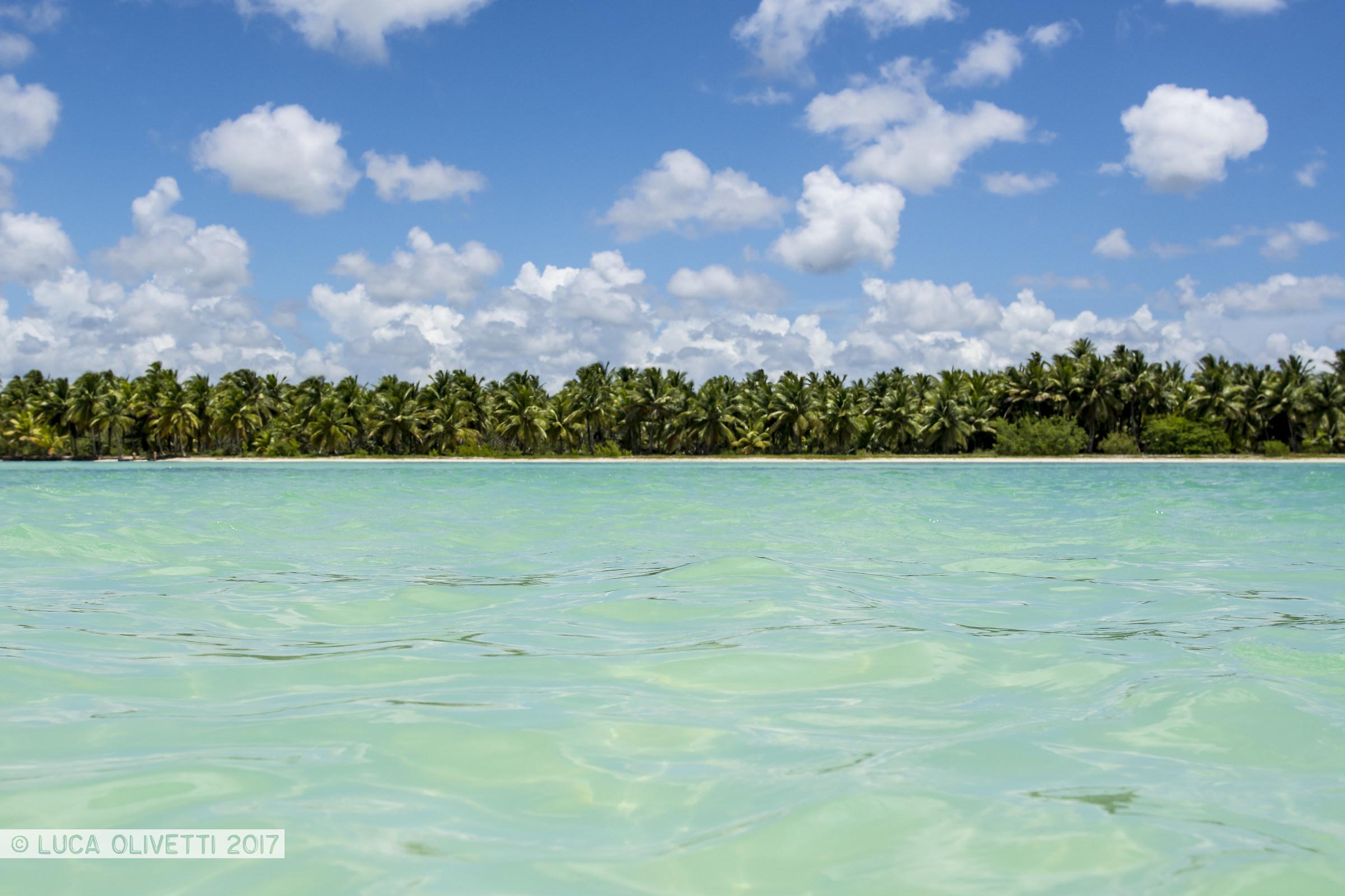Isla Saona, Republica Dominicana