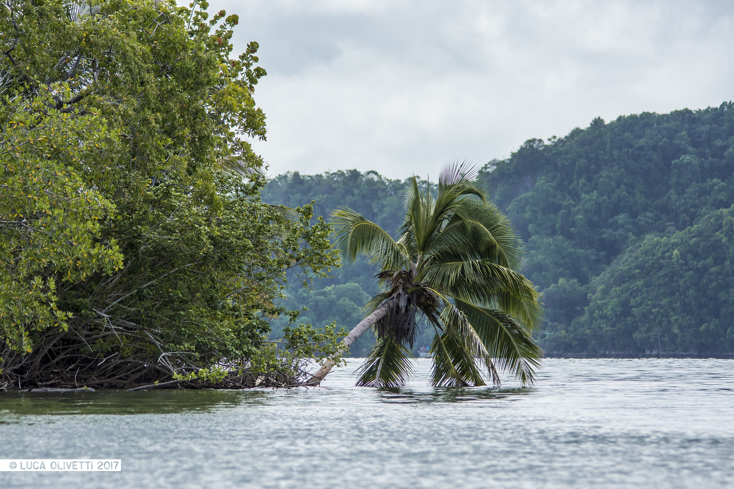 Parque de Los Haitises, Republica Dominicana