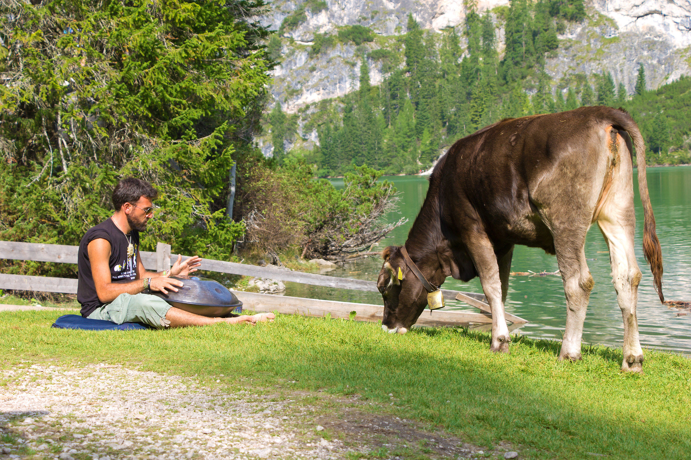 ethnic music and sacred cow ... in Trentino?