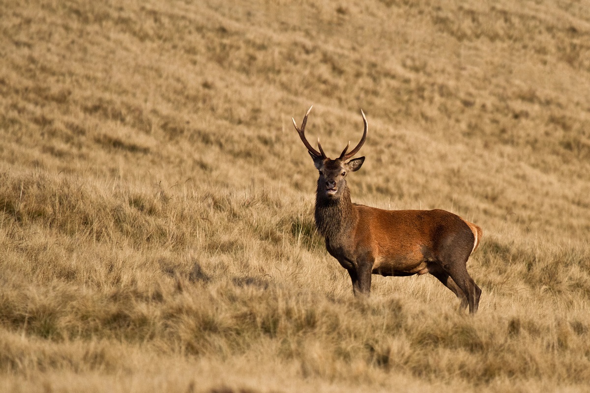 Incontro ai primi raggi di sole