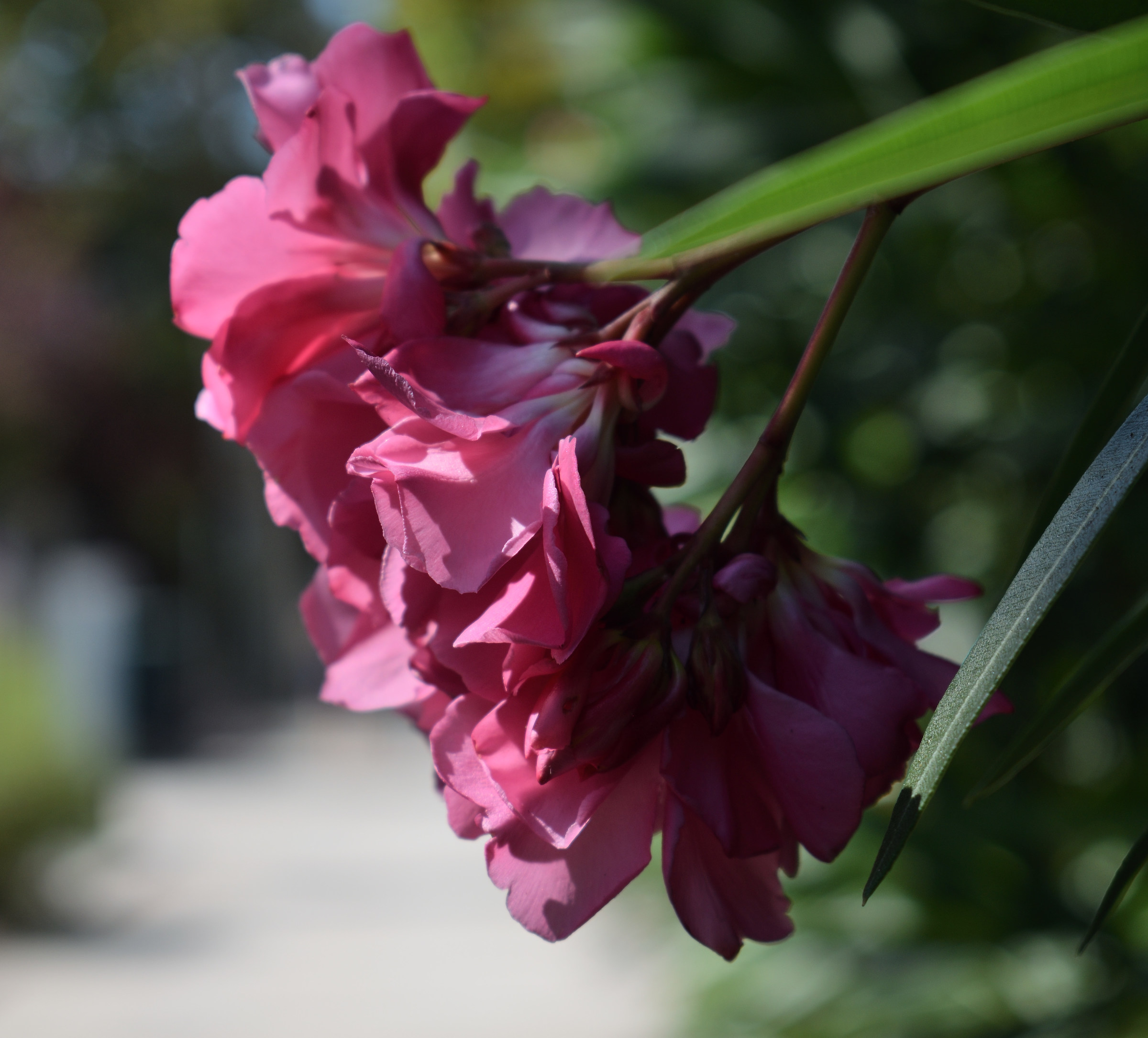 Untitled Photo
