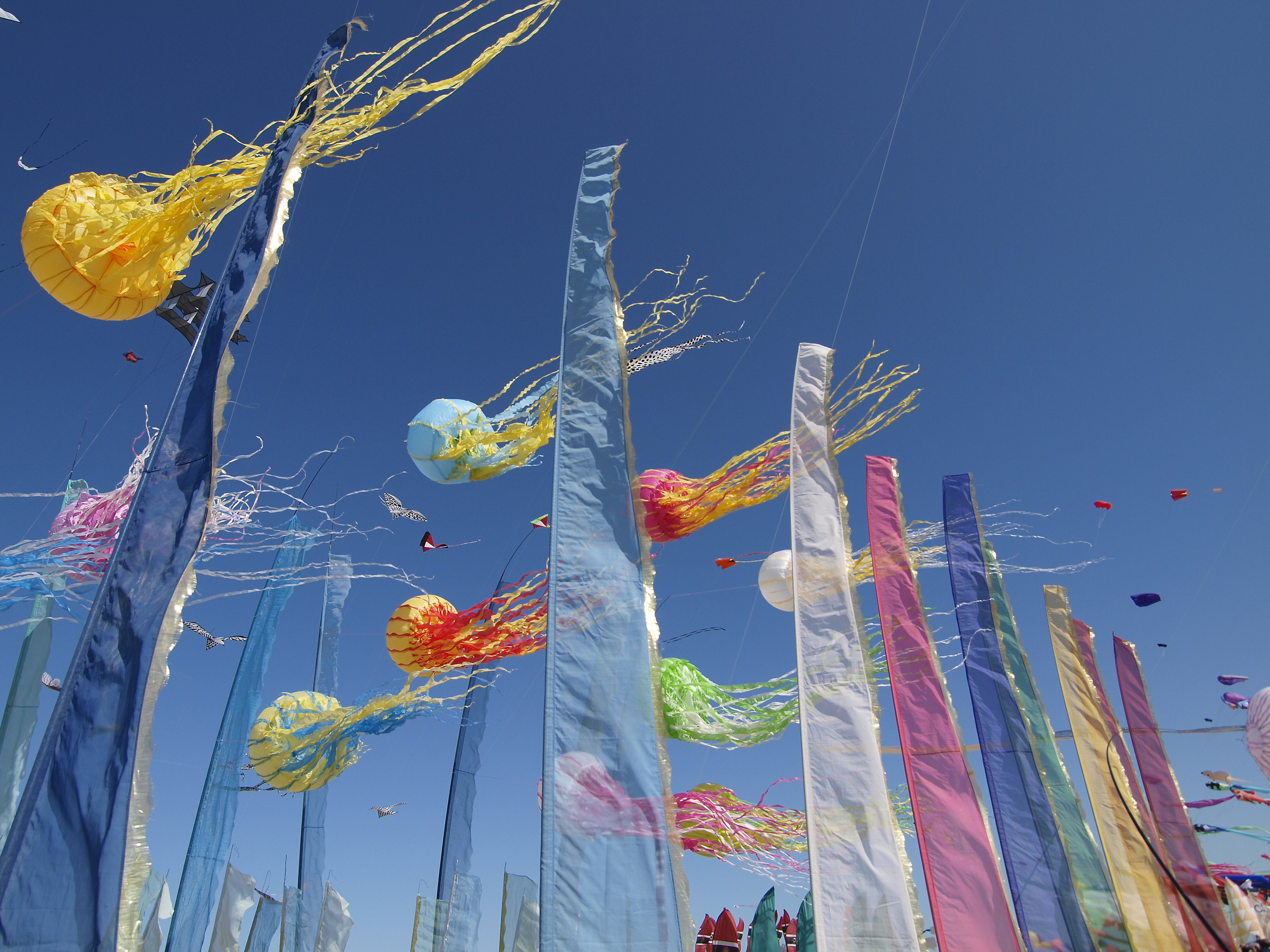 Festa degli aquiloni - Pinarella di Cervia (ra)