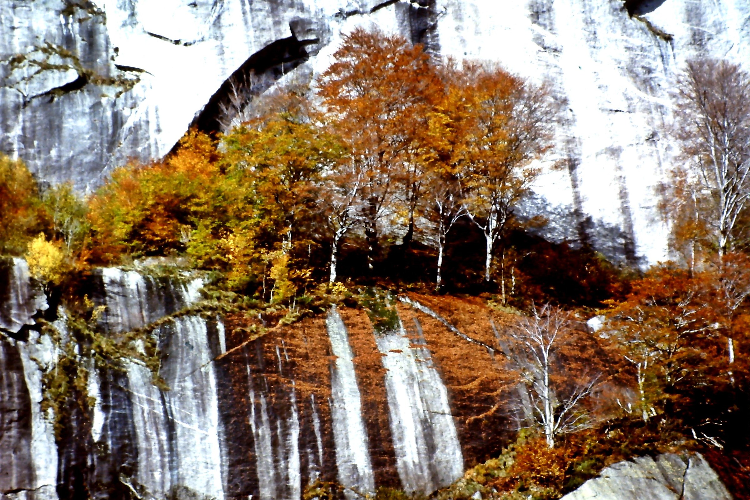 212 - gronda l'autunno - SO Val Masino
