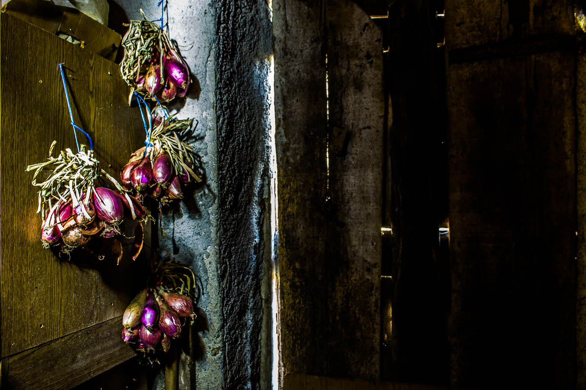 natural light painting cipolle tropea