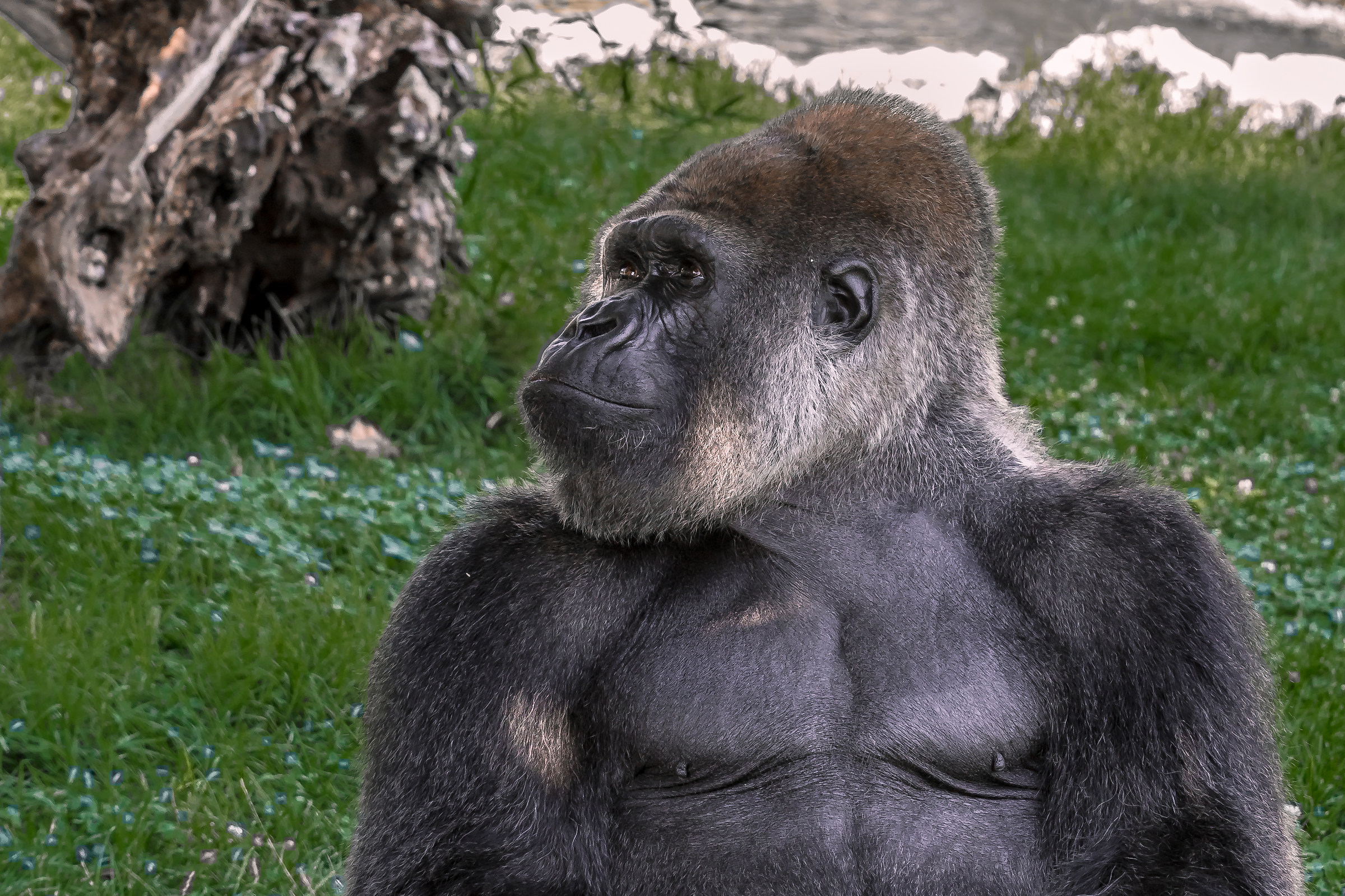 I'm offended with everyone