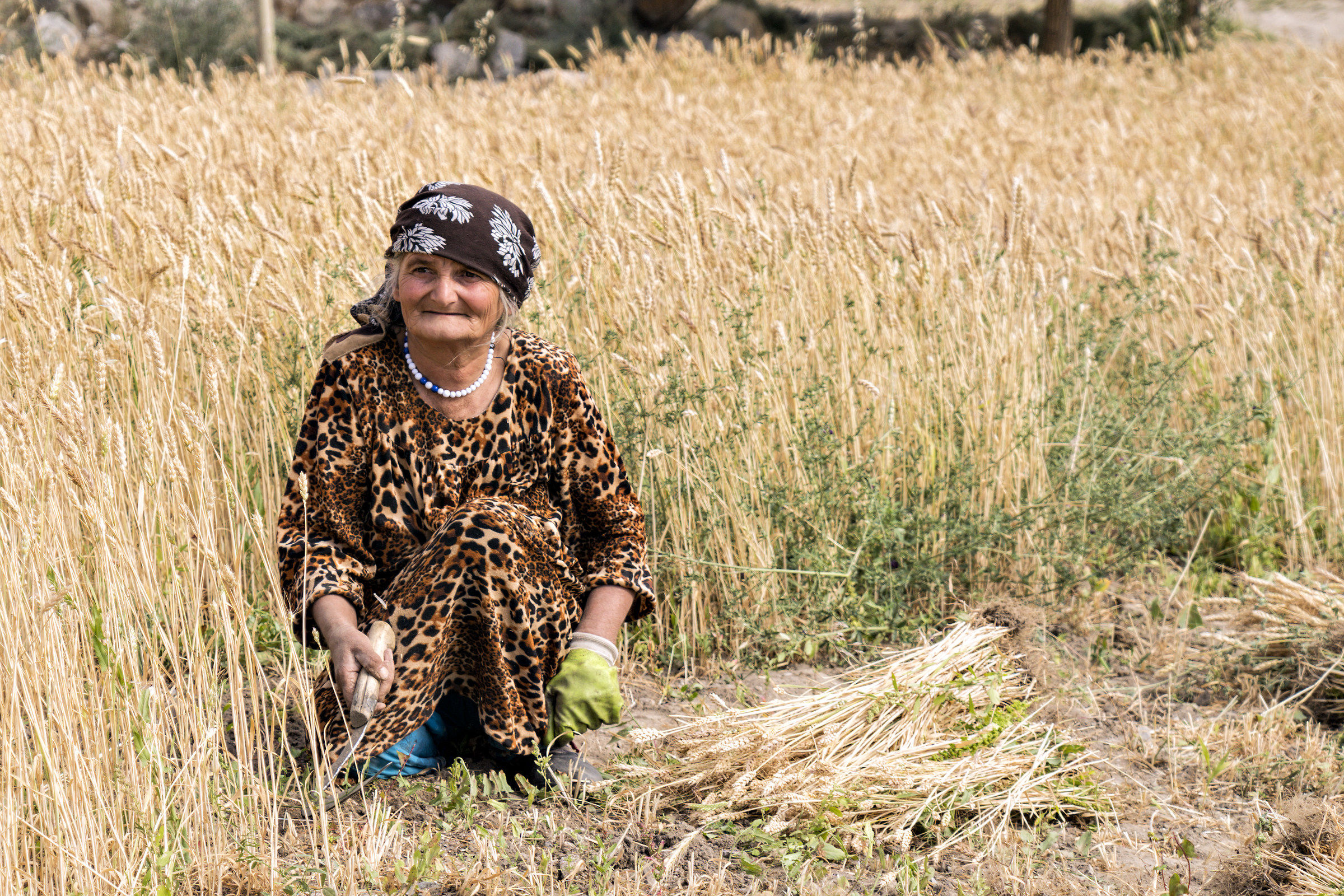 Elderly peasant from Bardara