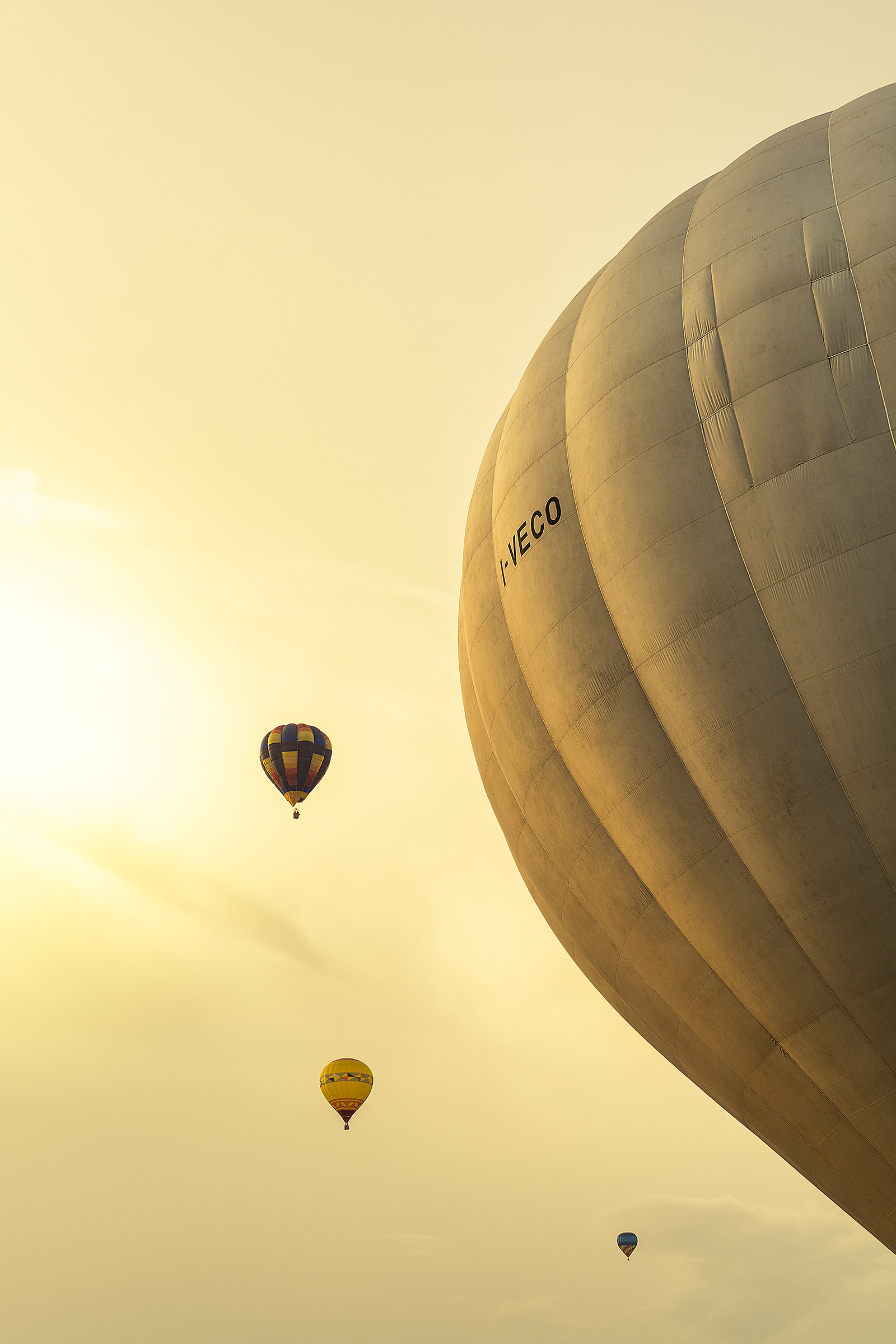 Mongolfiere Festival