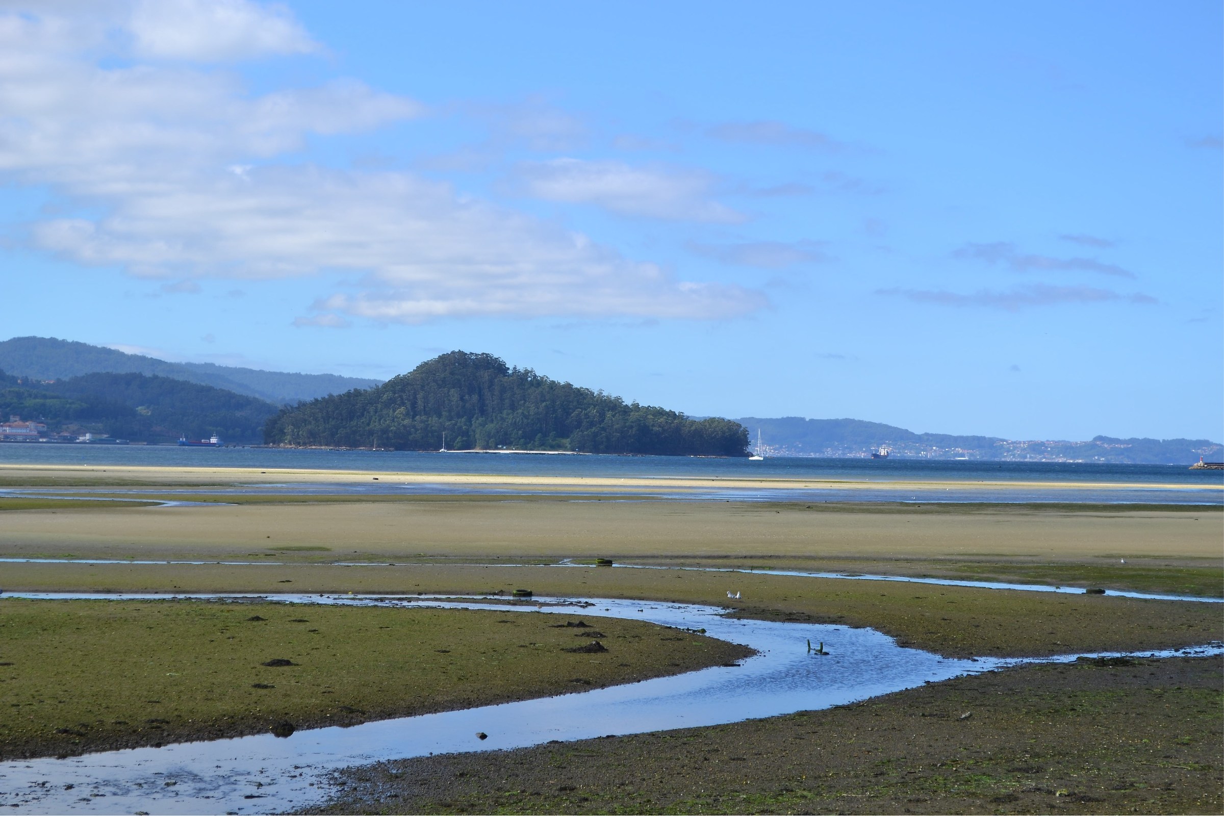 Try again. (Pt.2) Nikon3100