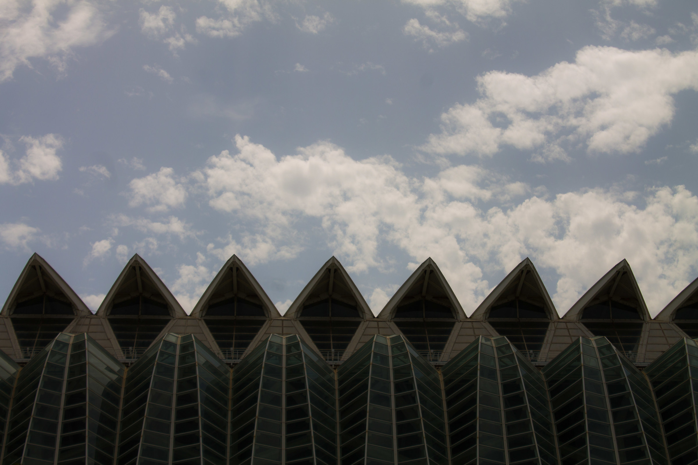Giro in bicicletta nel parco Turia