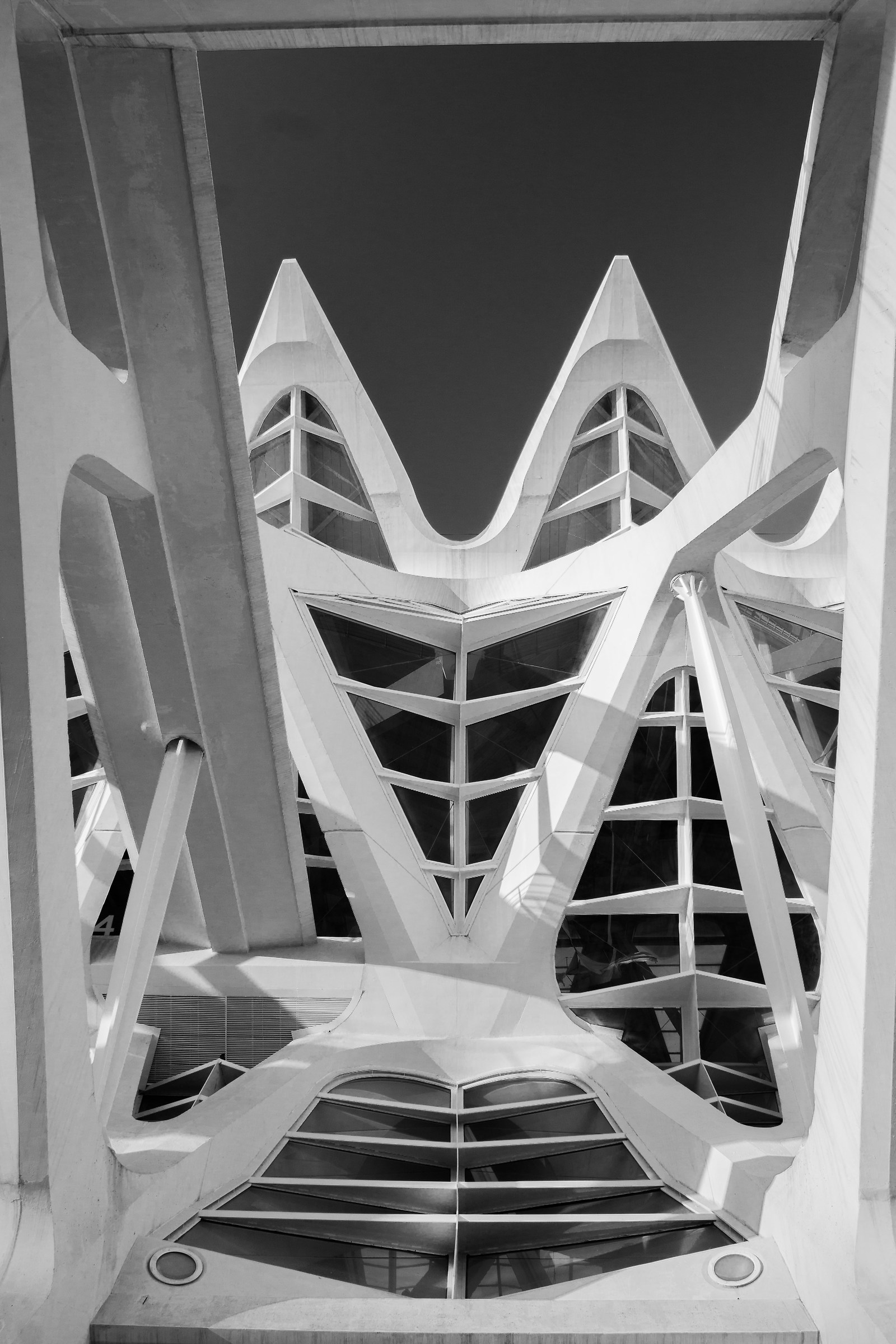 Il Museo delle scienze Principe Felipe. Dettaglio