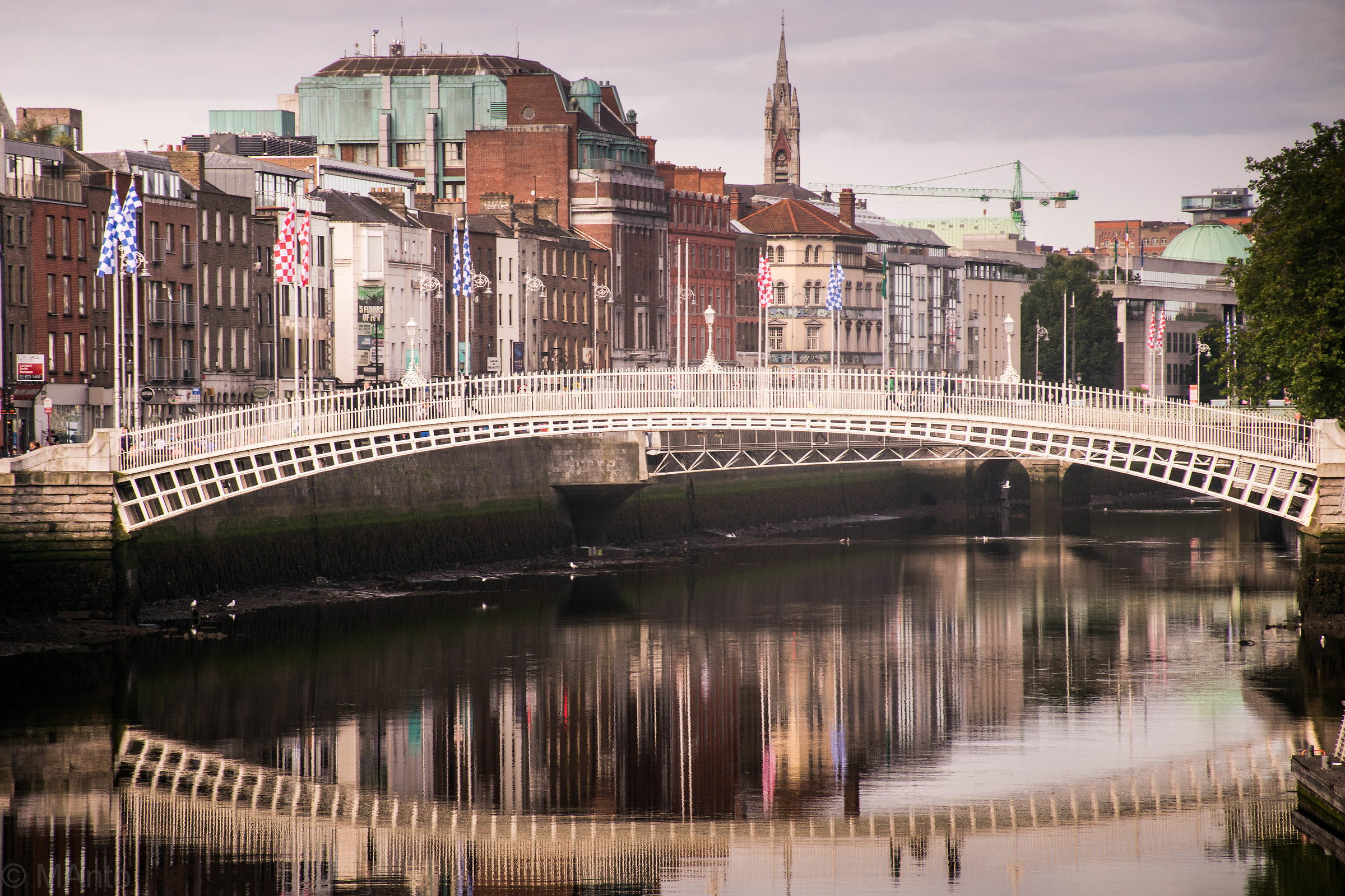 Ponti di Dublino - Ha Penny Bridge