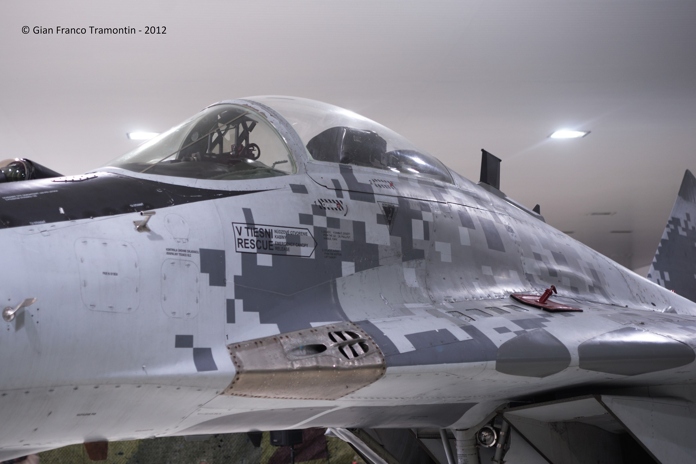 Digitral Camuflage Mig-29 Slovak