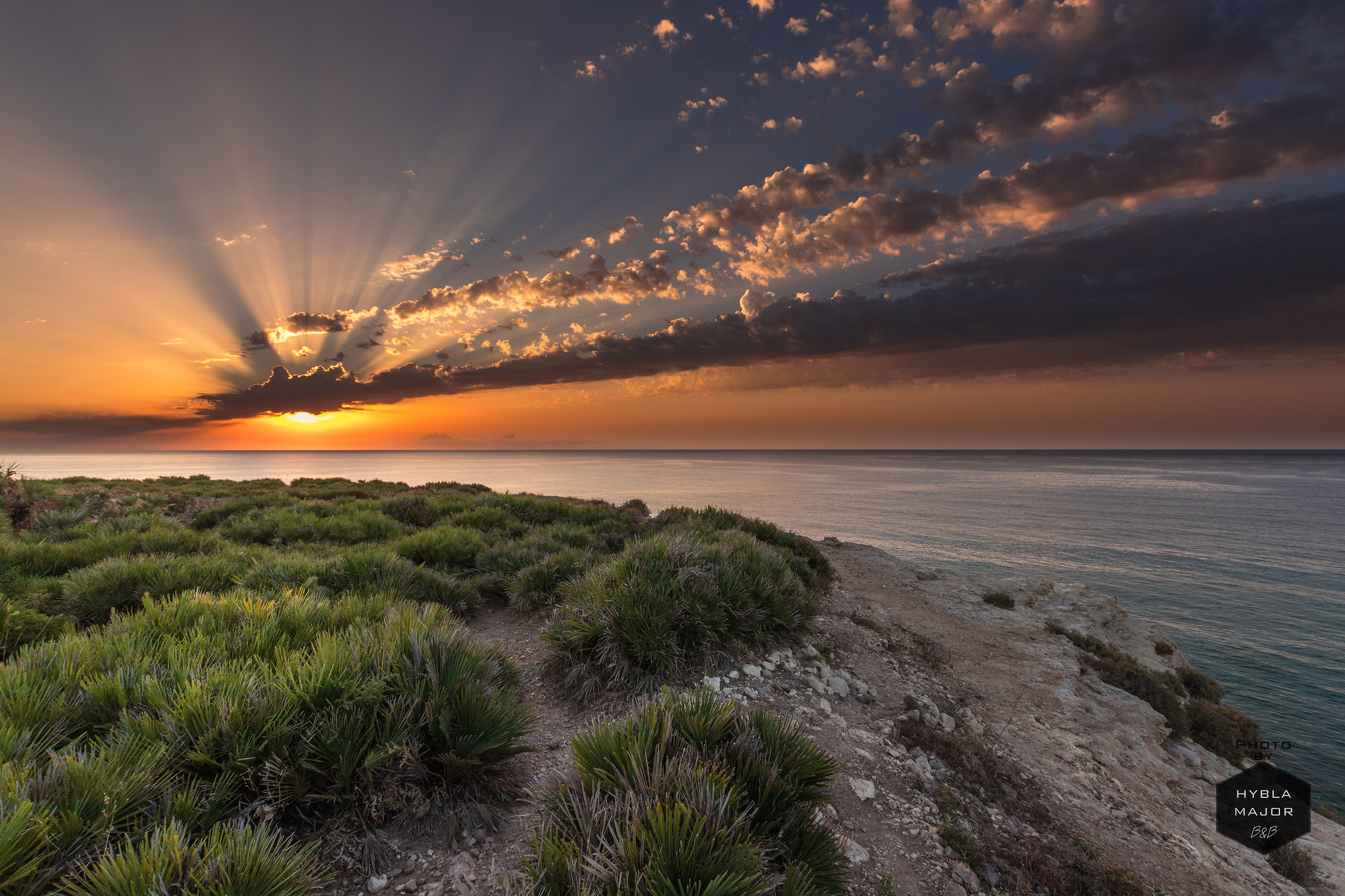 Mediterranean macchia