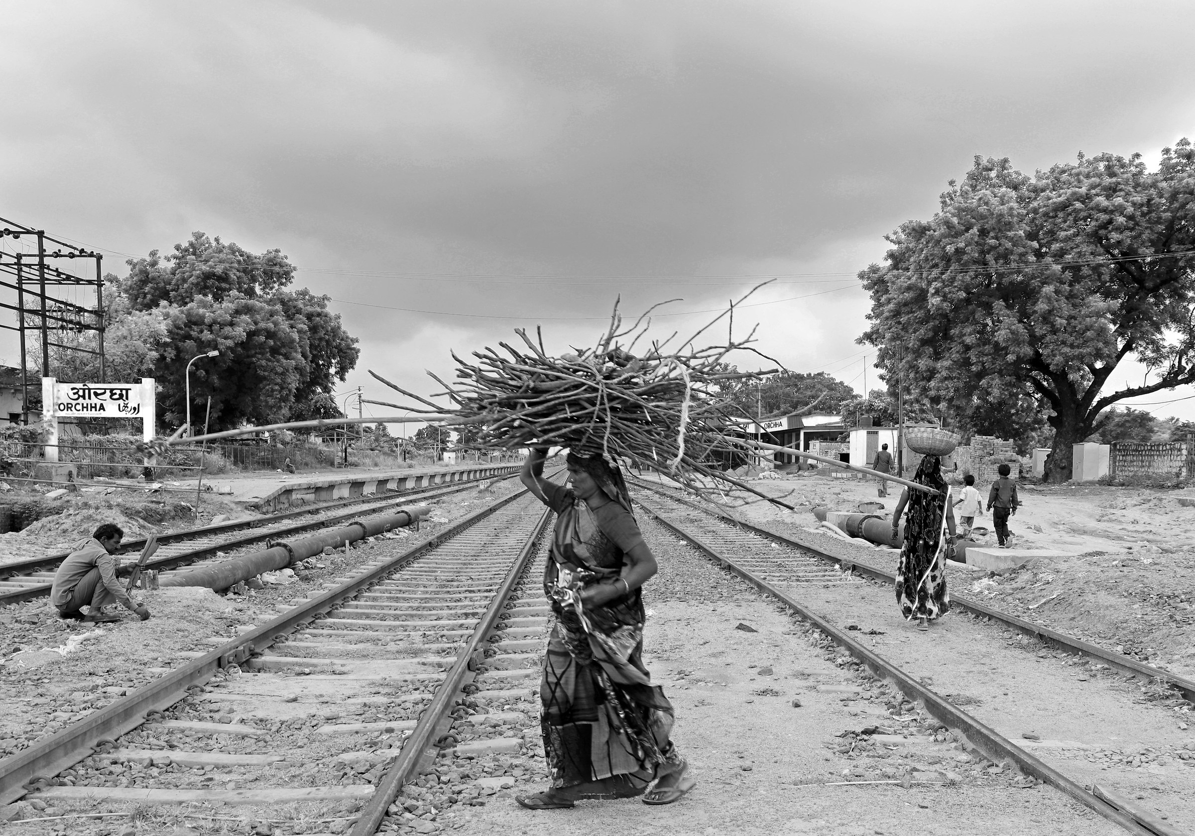 legna per il focolare domestico