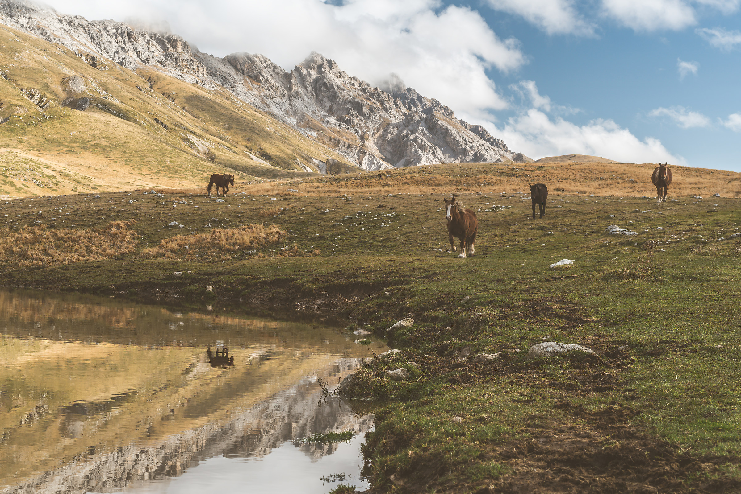 Iconfondibile Campo imperatore
