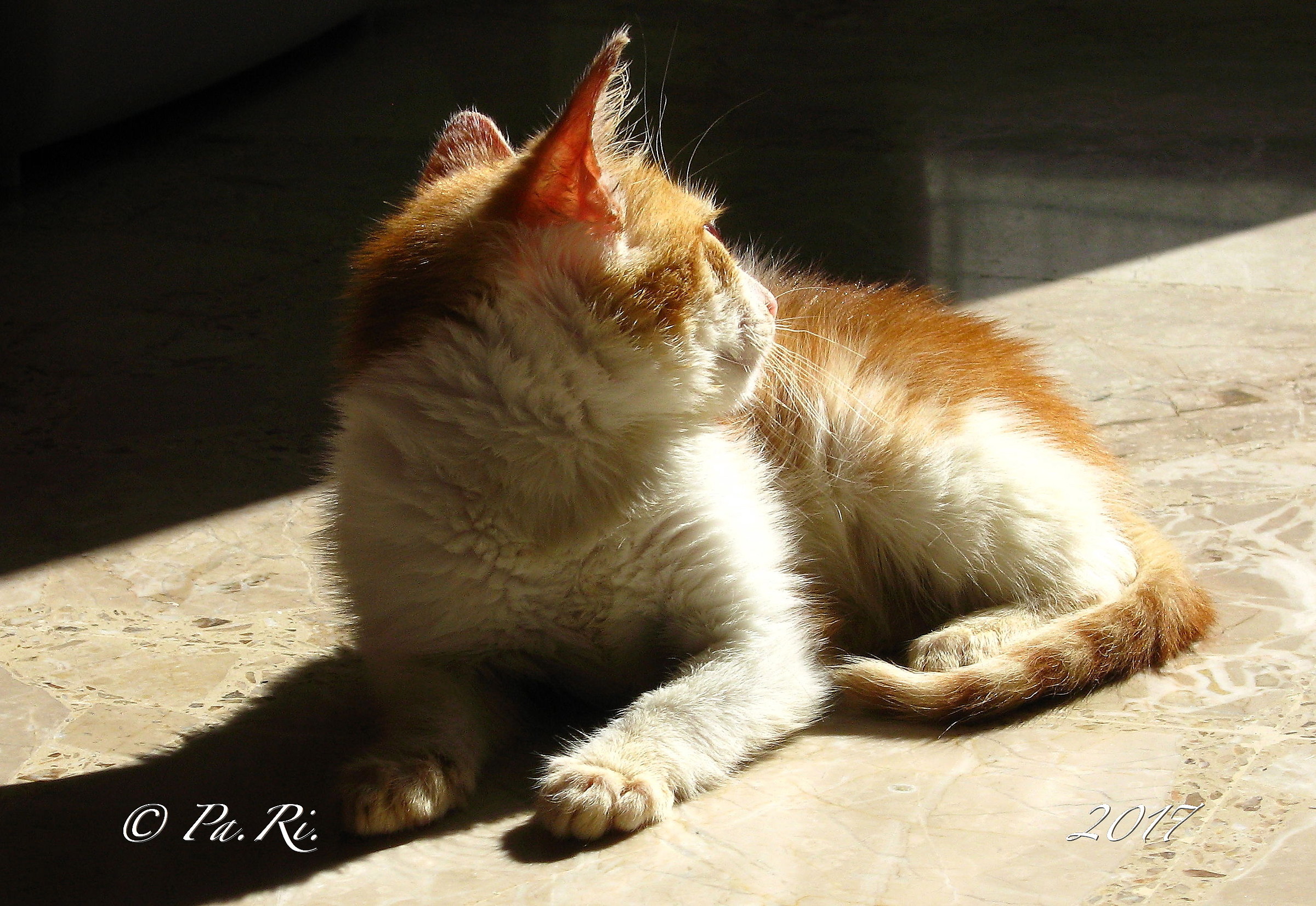 Mickey Mouse in the Sun