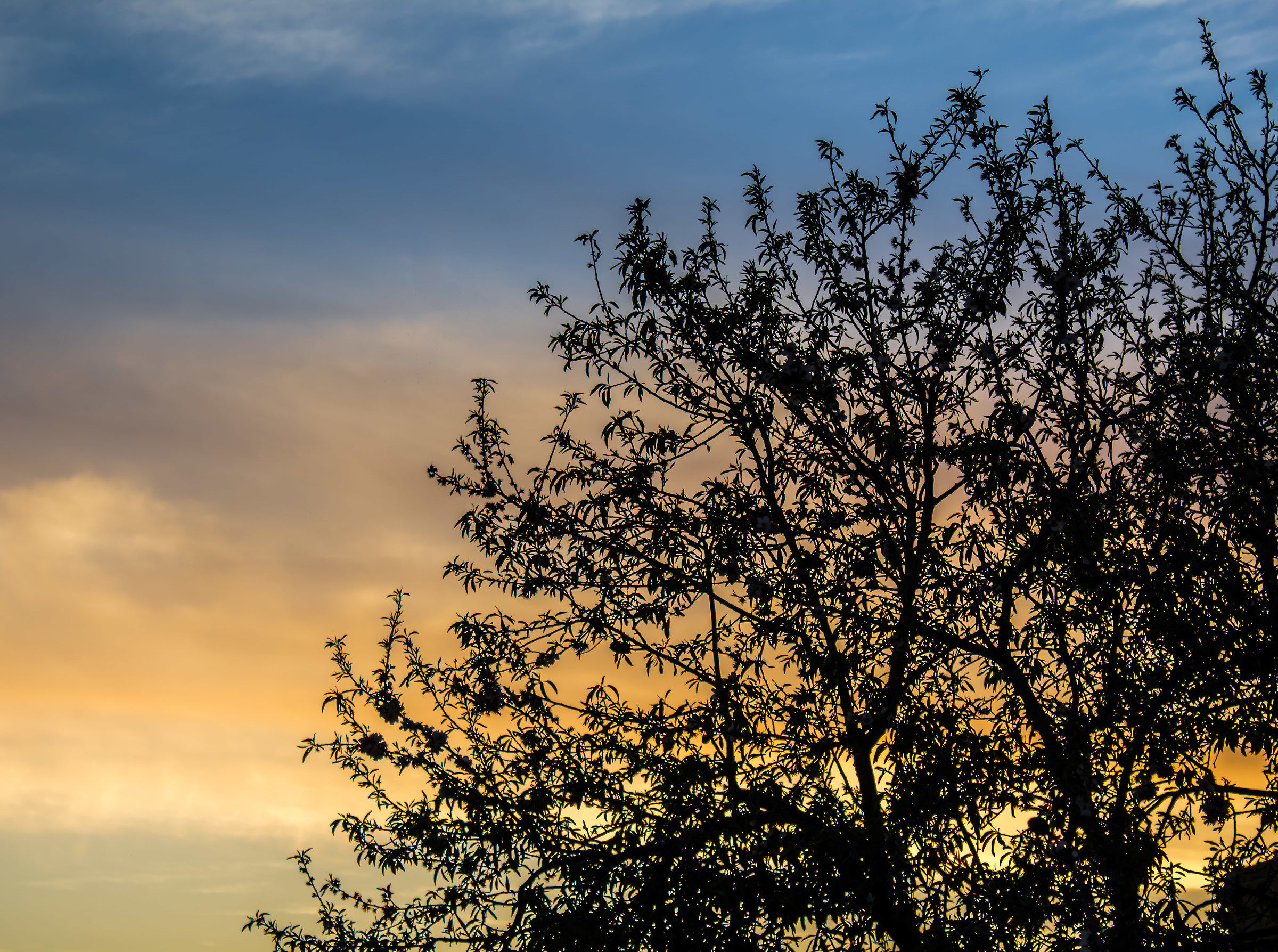 The sky as a painting