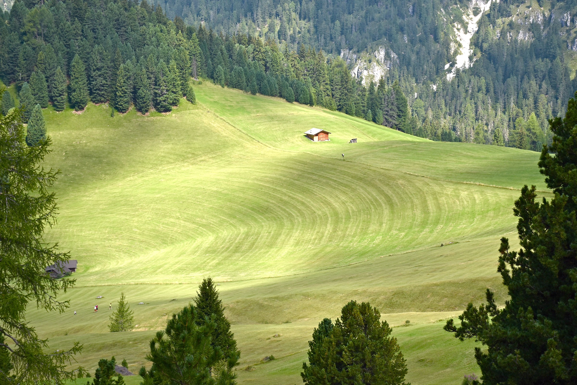 Passioni del montanaro "montagne" (Puez Odle)