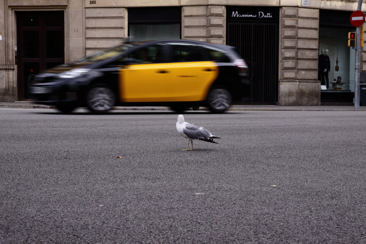 opsss i'm lost .... taxiiiiiiii