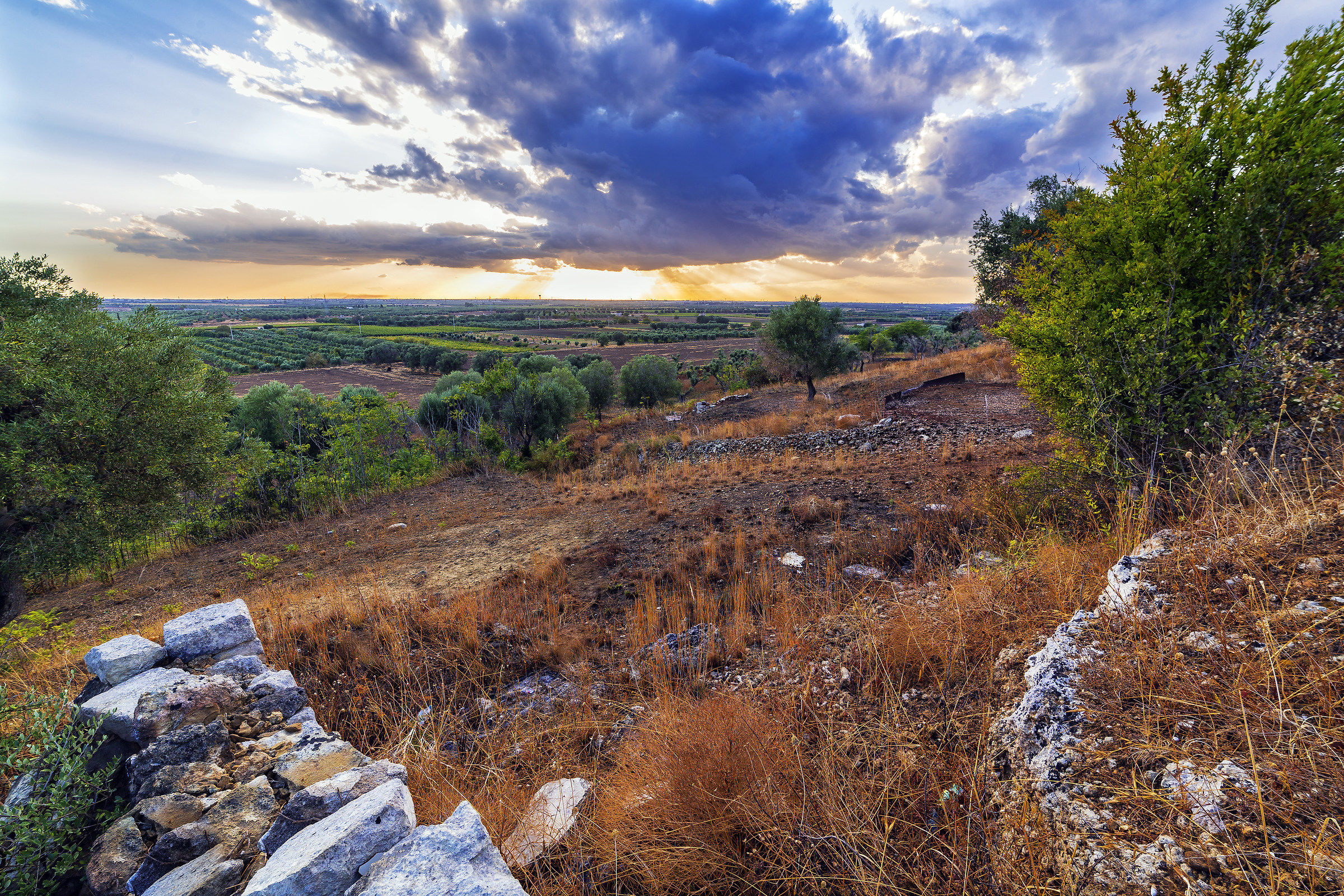 Sant'Elia - Squinzanesi Campaigns