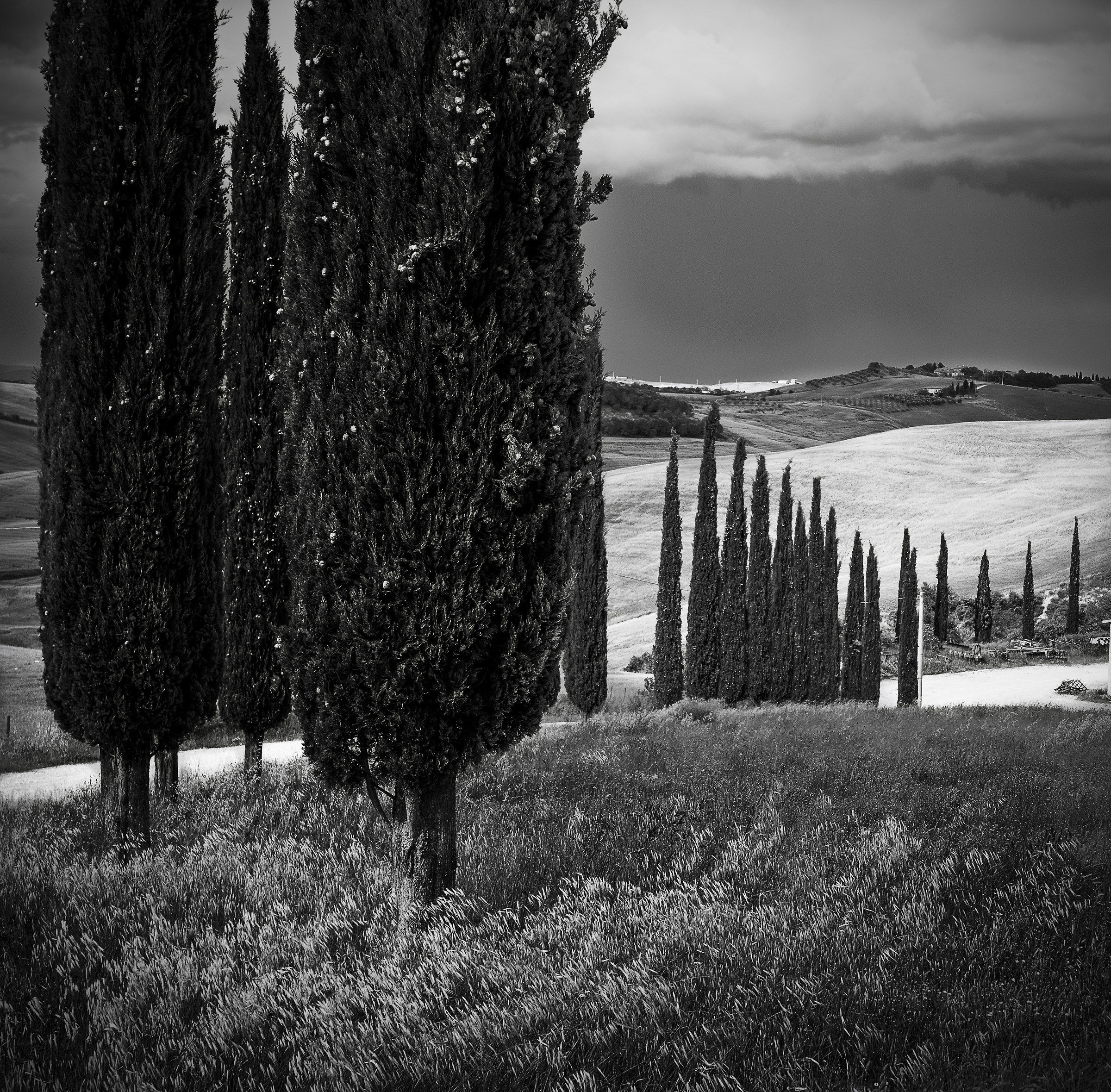 September on the Siena hills...