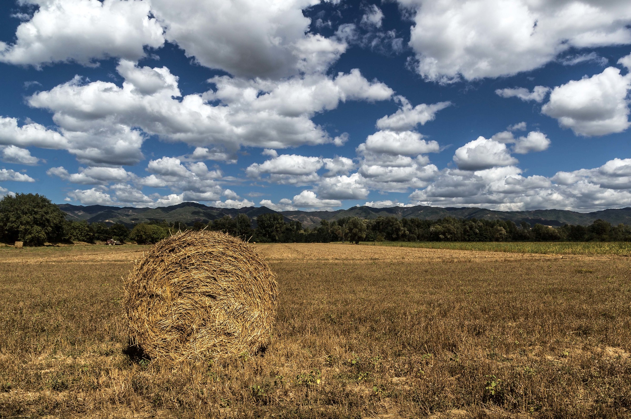 Appennino Tosco Emiliano, contrasti di forme e colori