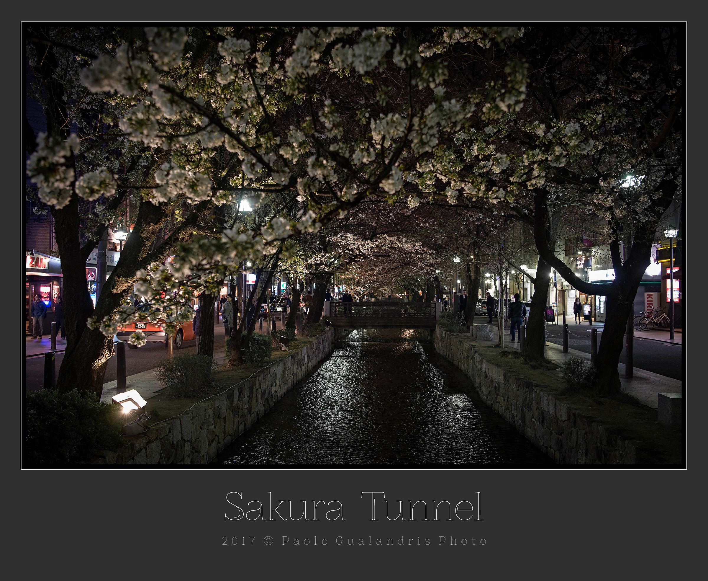 Sakura Tunnel