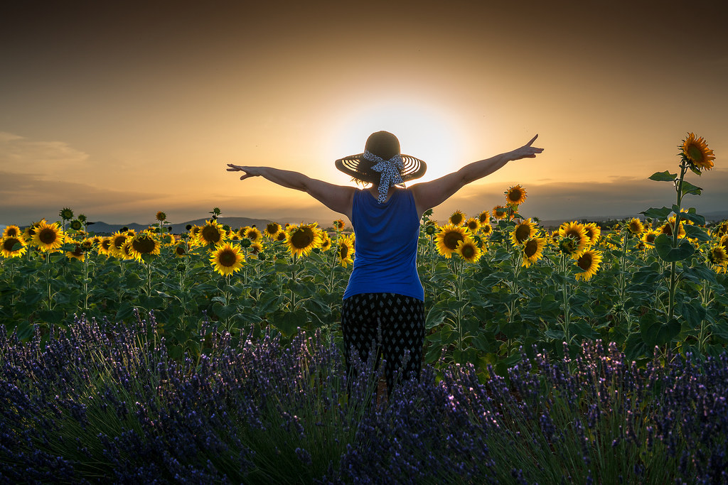 Sunset at Valensole