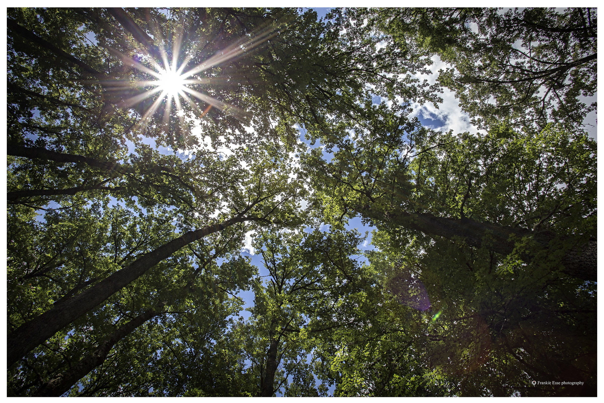 Pollino National Park