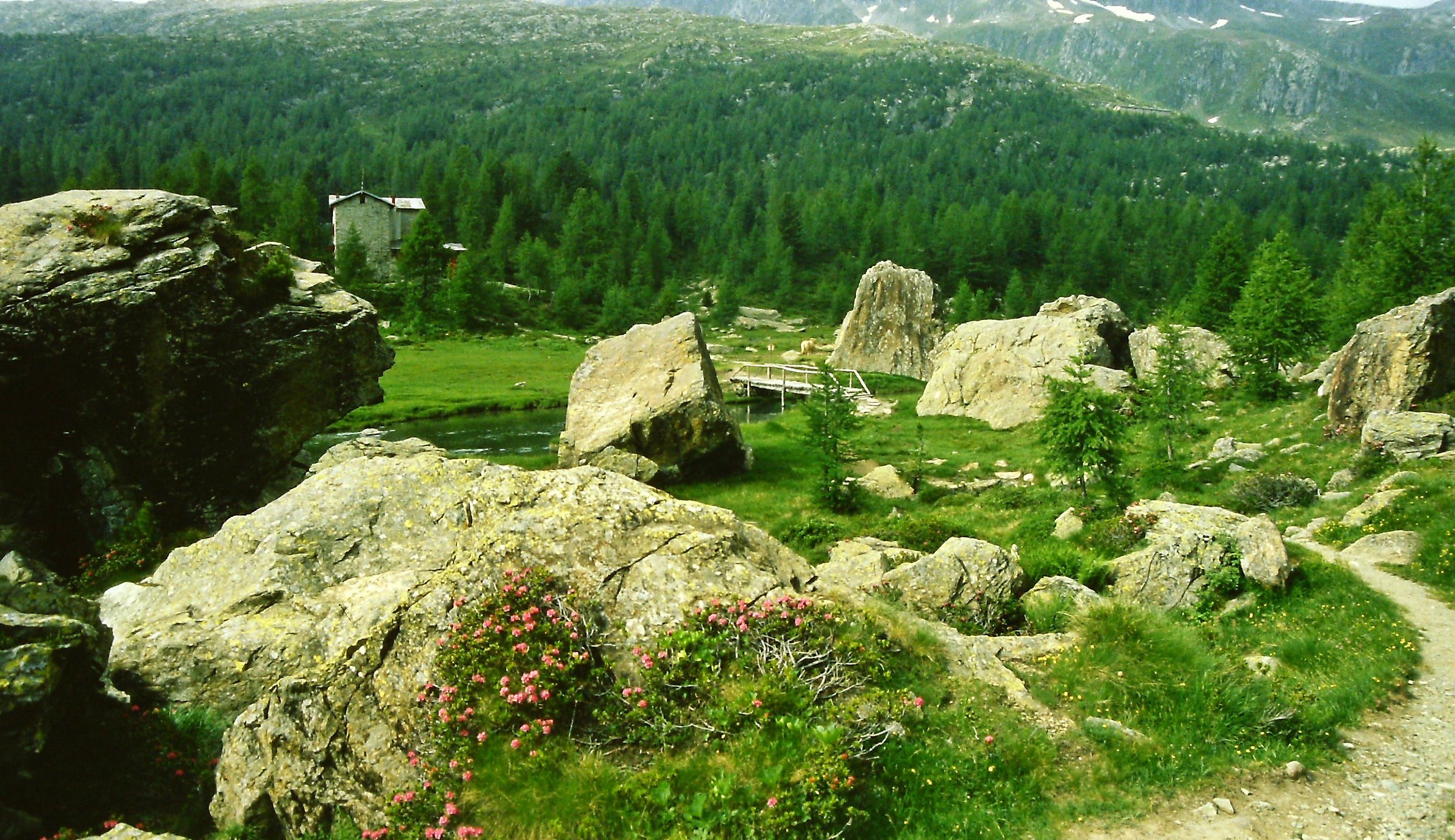 225 - arrivo al meritato ristoro - SO Val Malenco