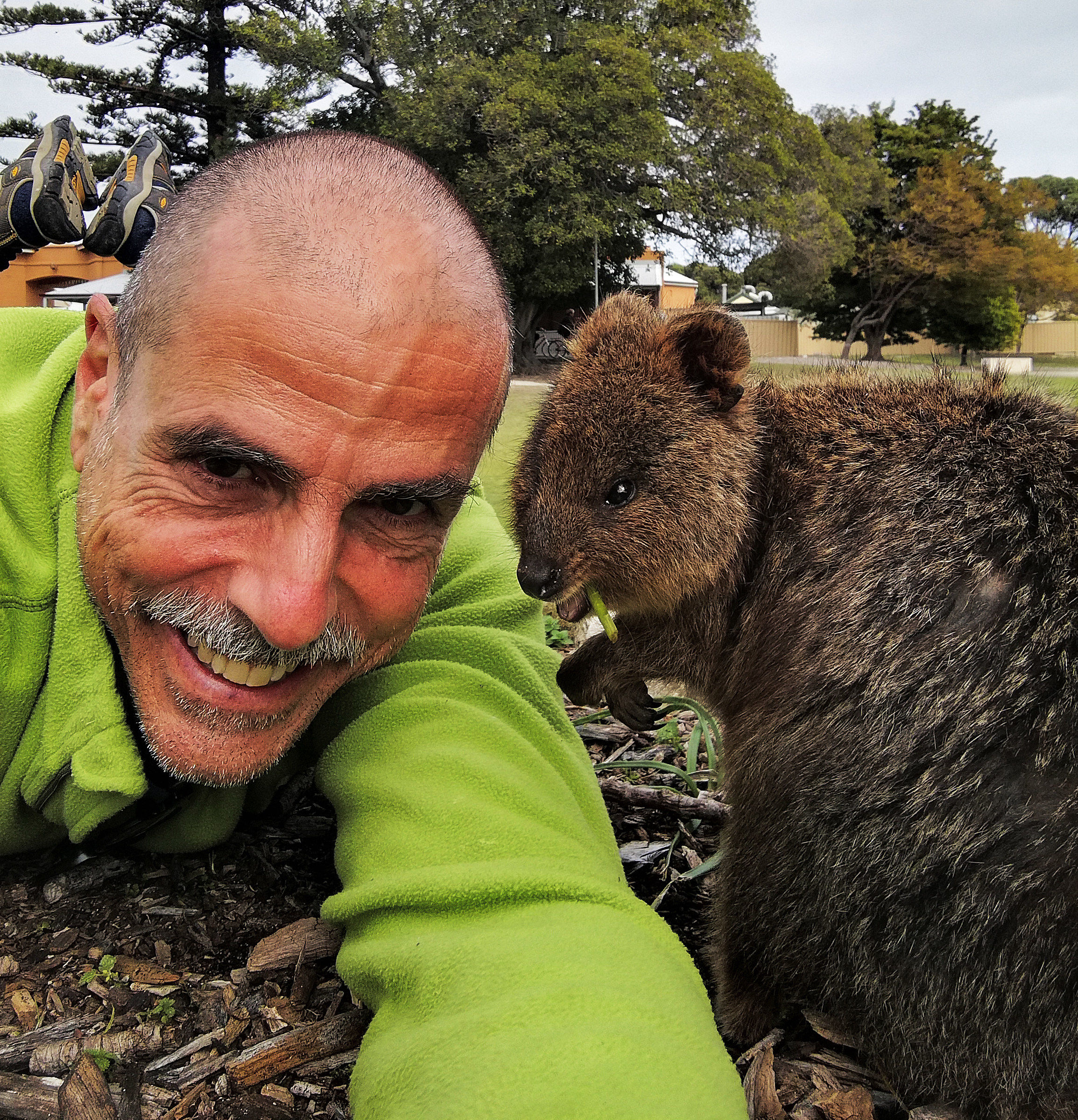 Selfie with Quokka