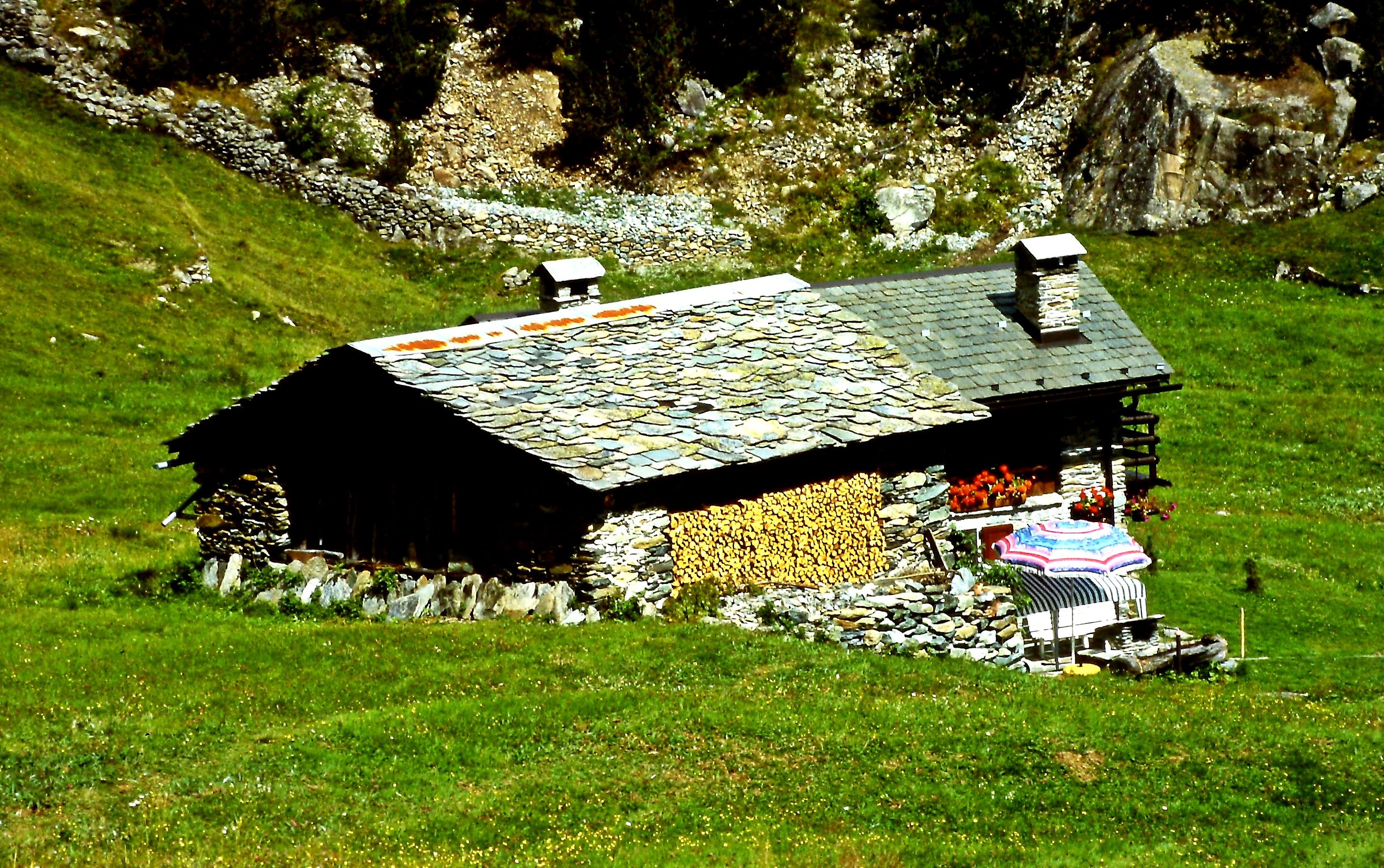 233 - parva sed apta mihi - SO Val Malenco