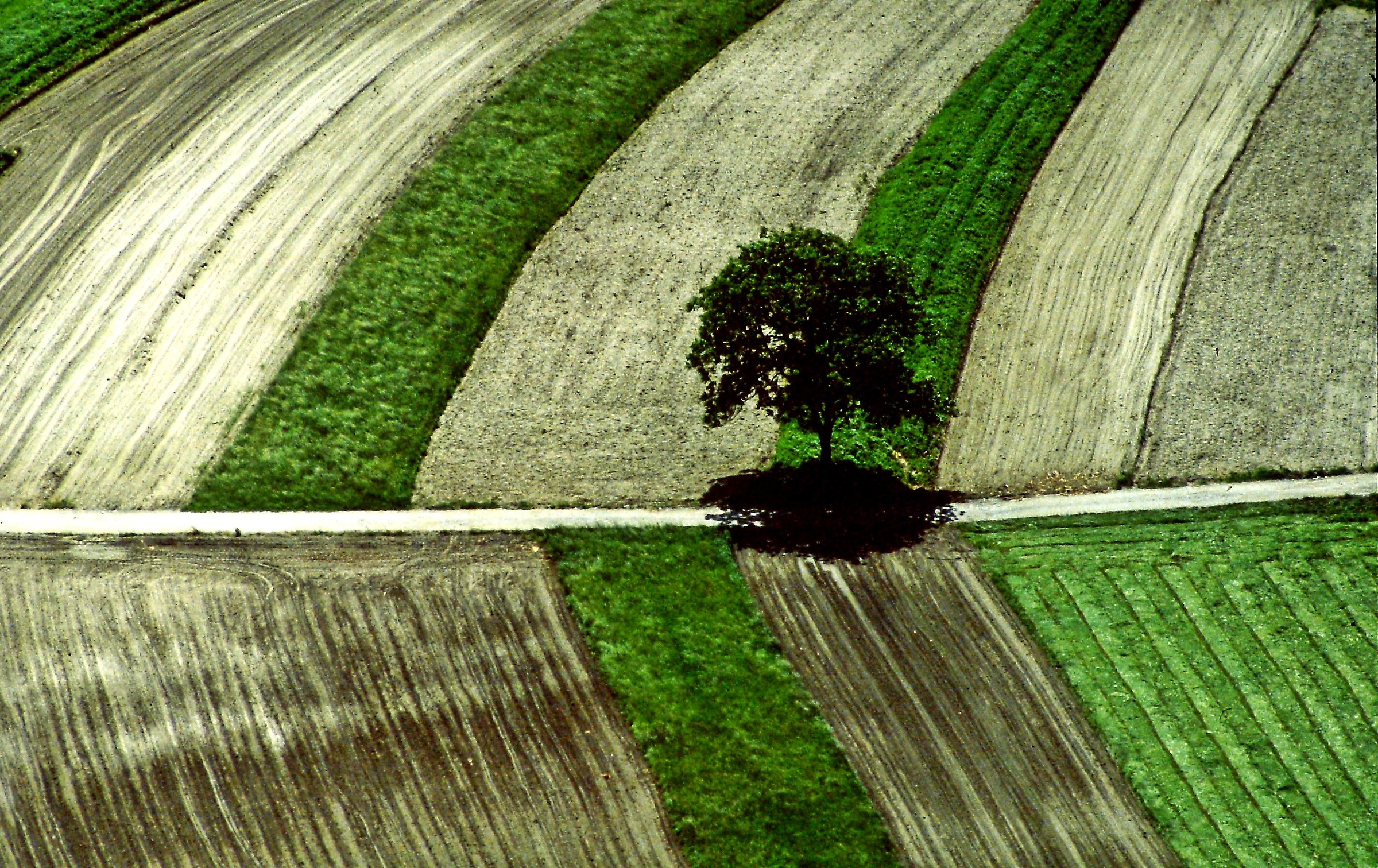 245 - la sentinella dell'ordine agricolo - SO