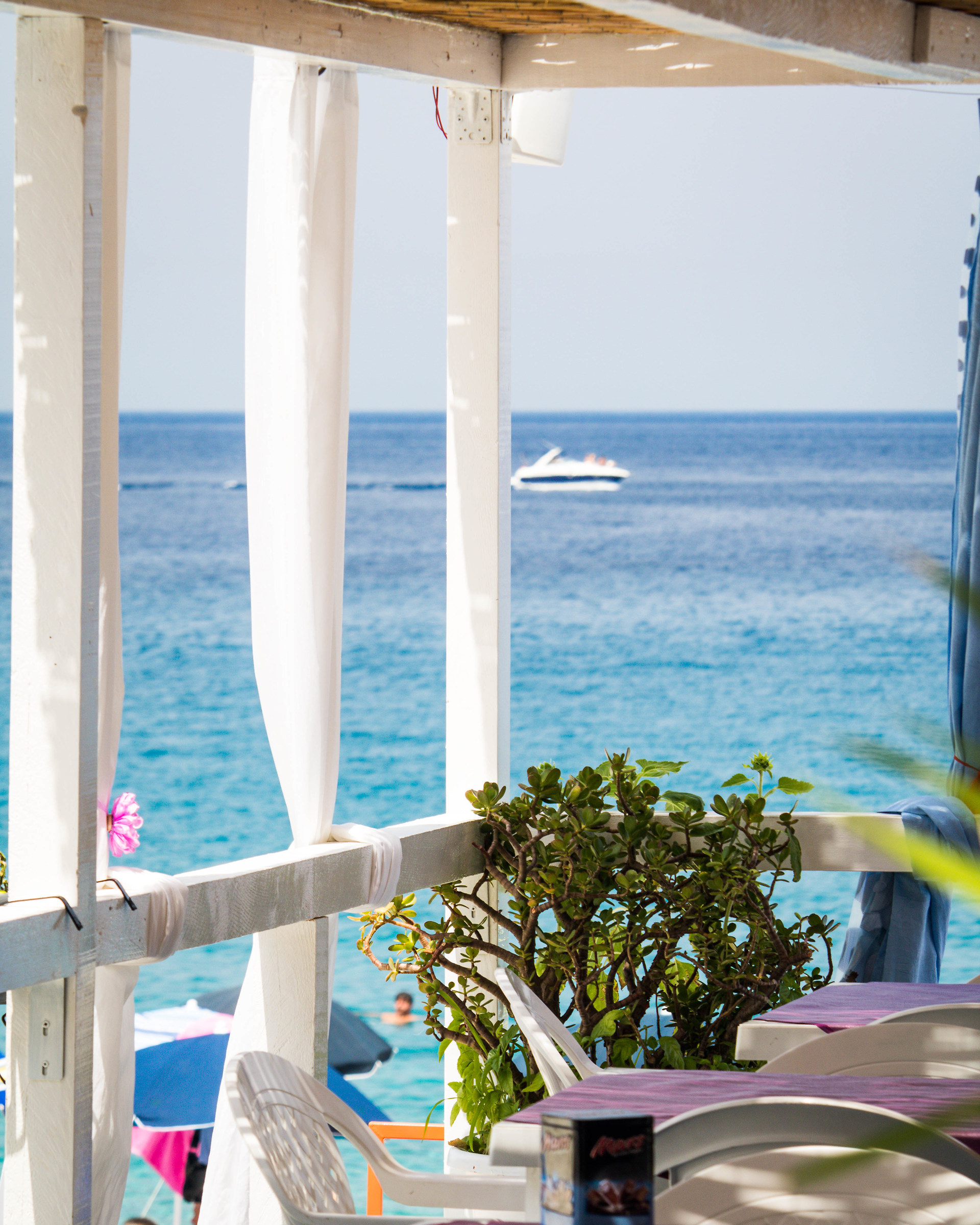 Tell me love that tomorrow I will not be the same