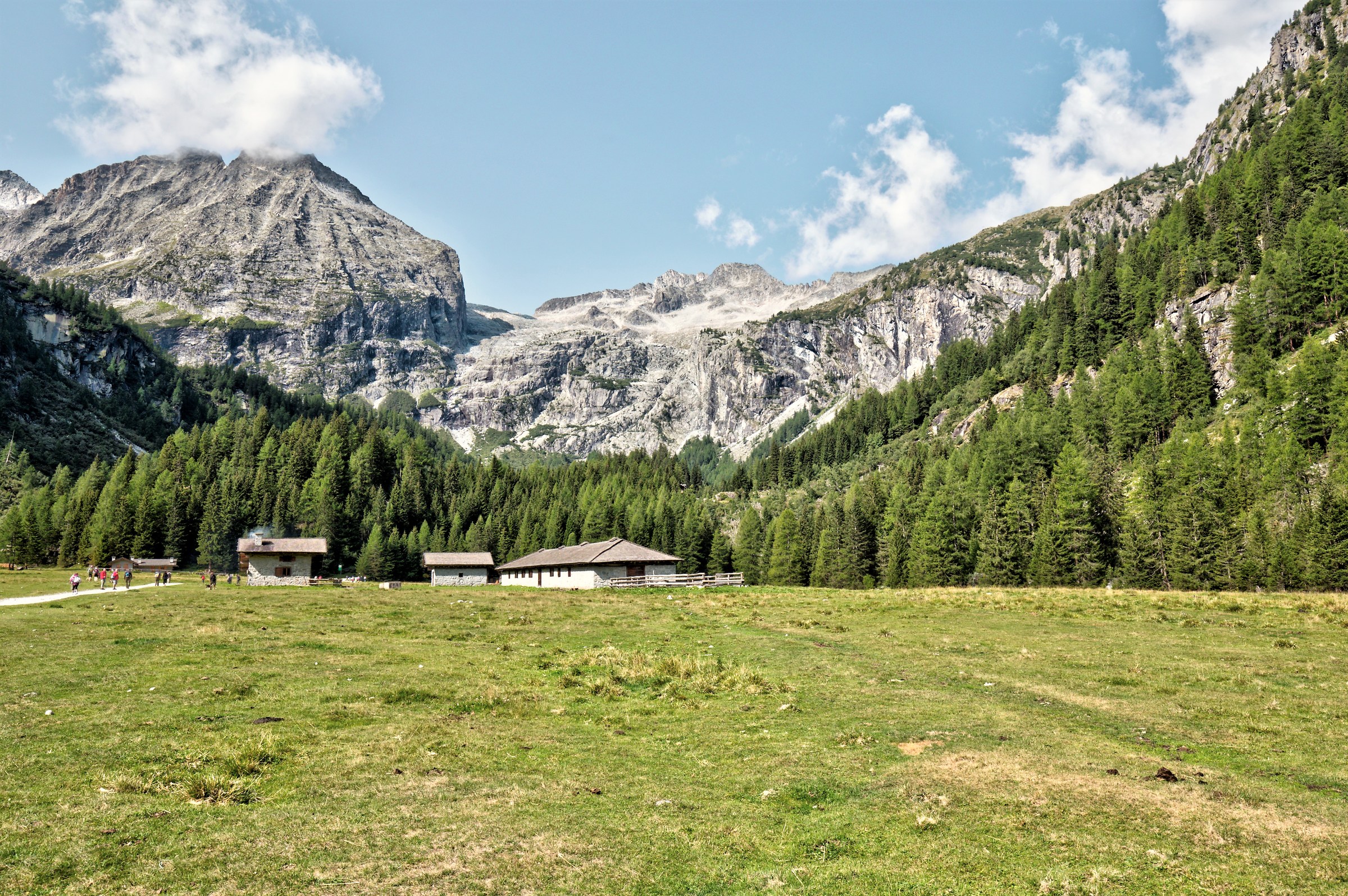Malga Bedole, val Genova