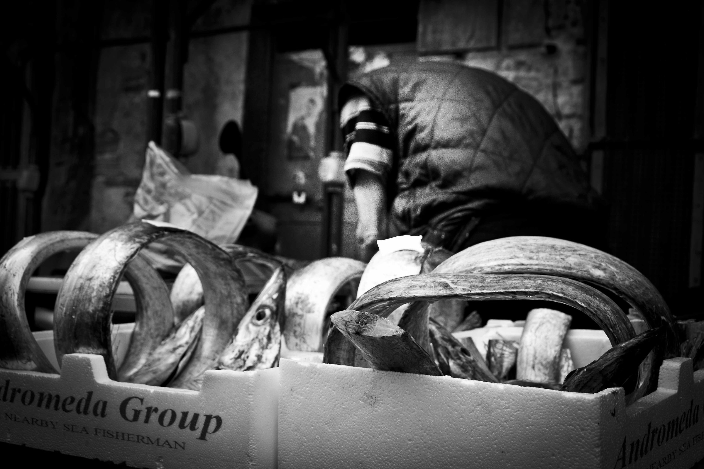 Catania mercato del pesce