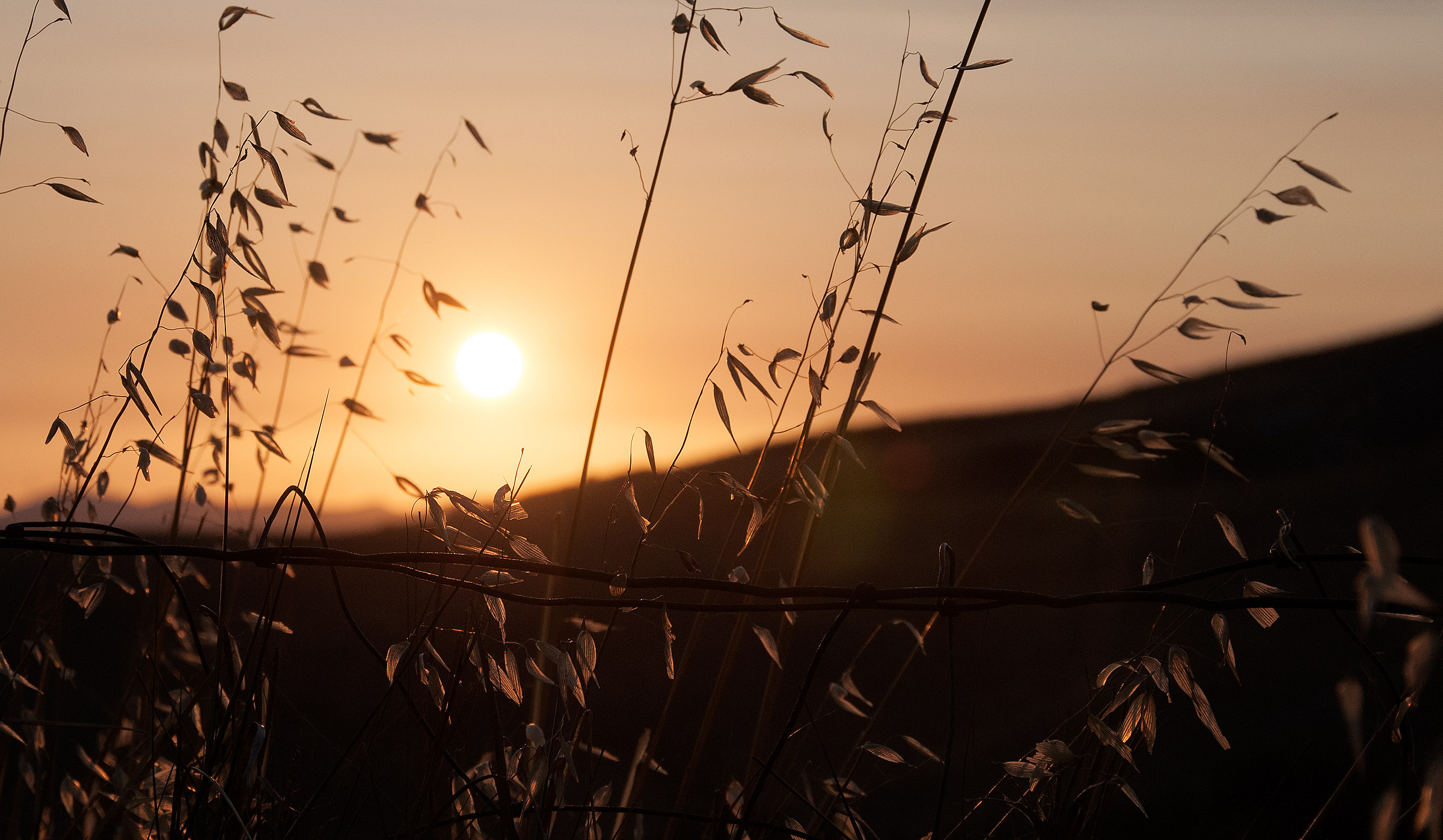 Late summer sunset ...