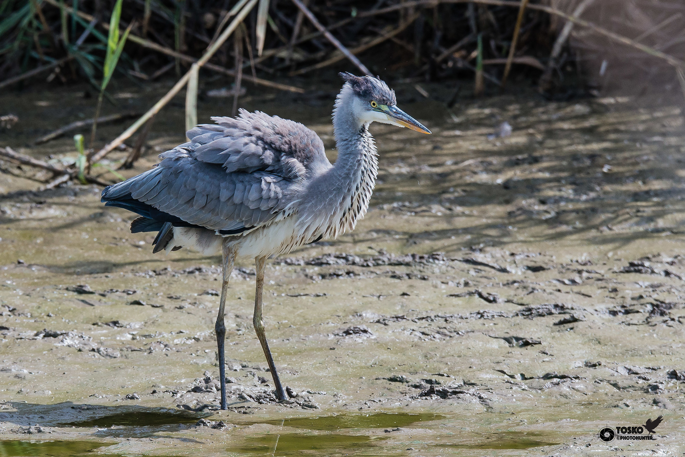 posing after folding .......