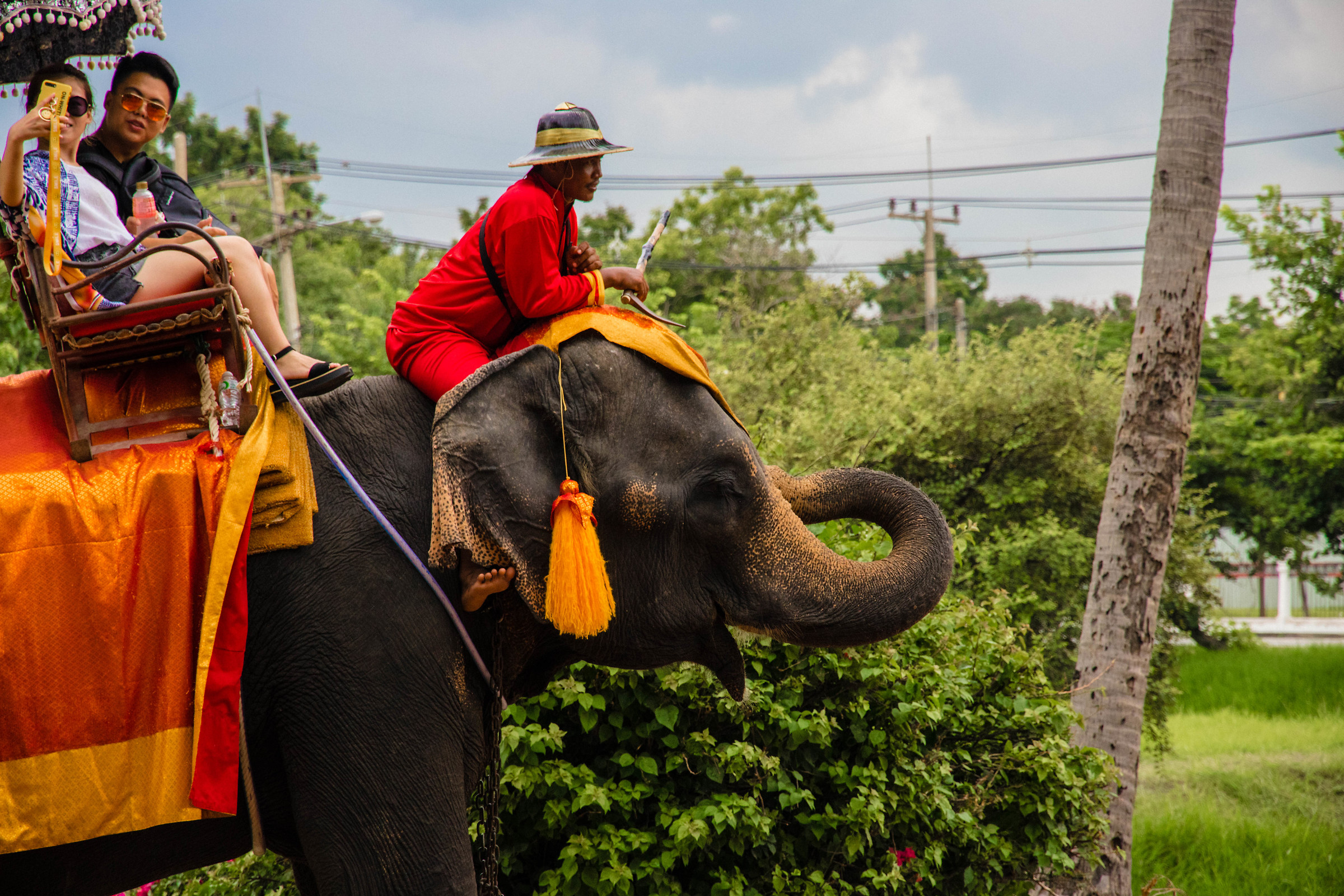 Selfie, Ayutthaya, Thailand