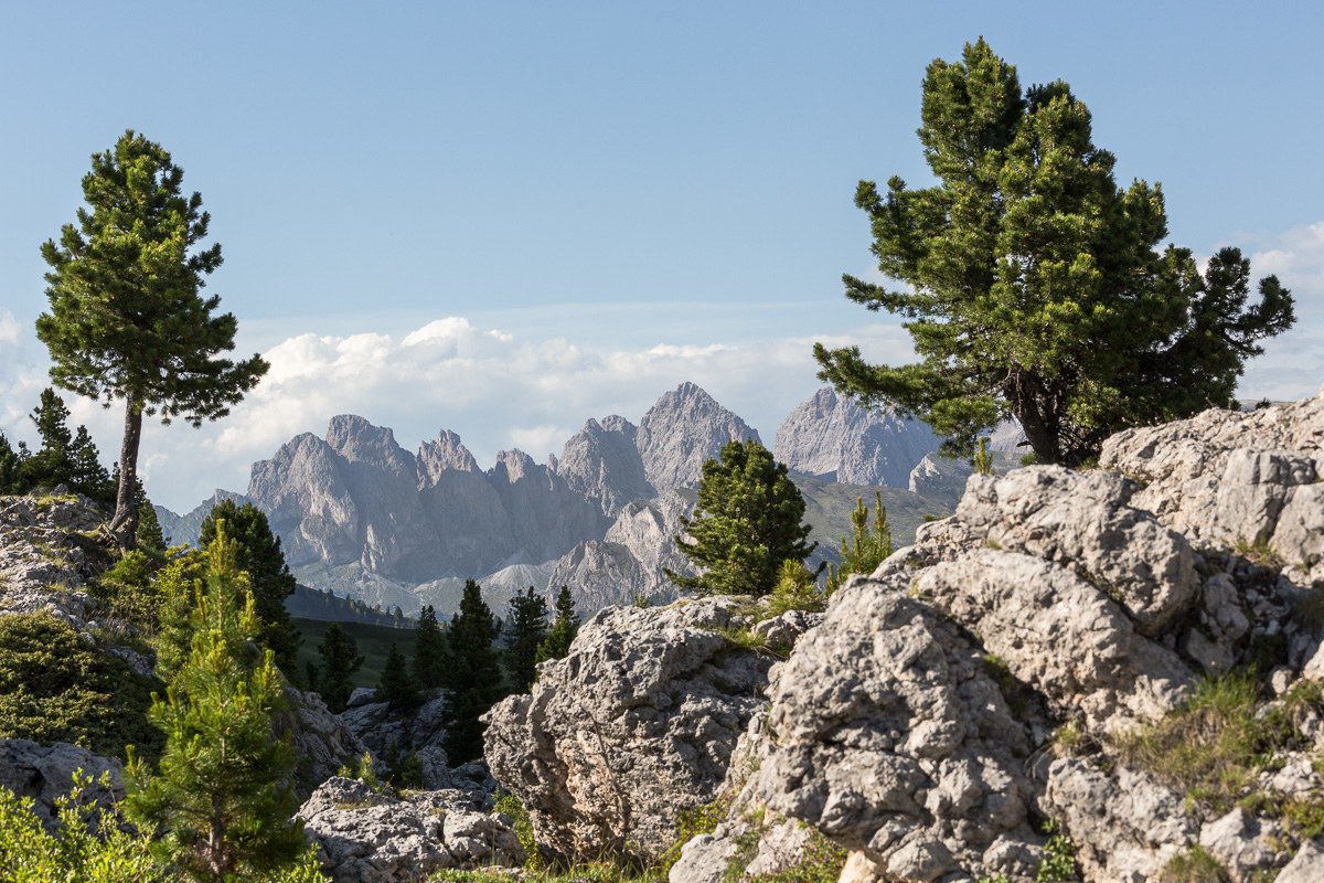 Una finestra sulle "Odle"...