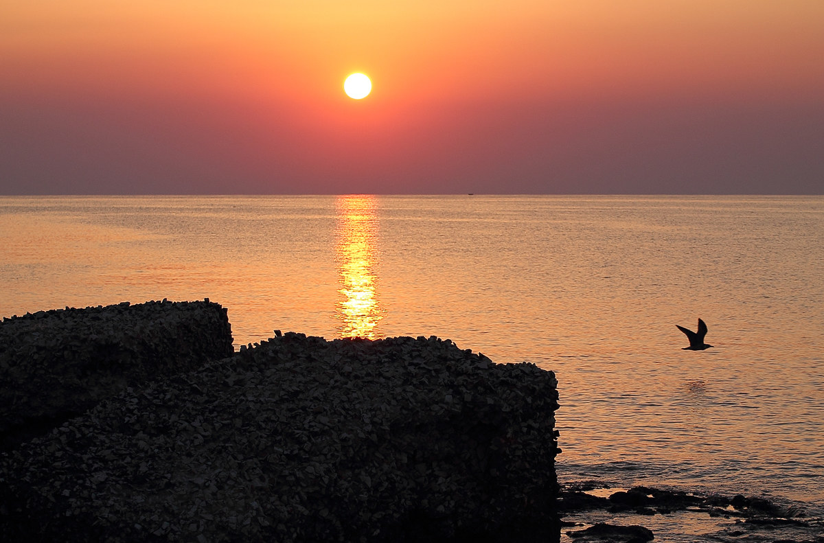 Marzamemi si sveglia