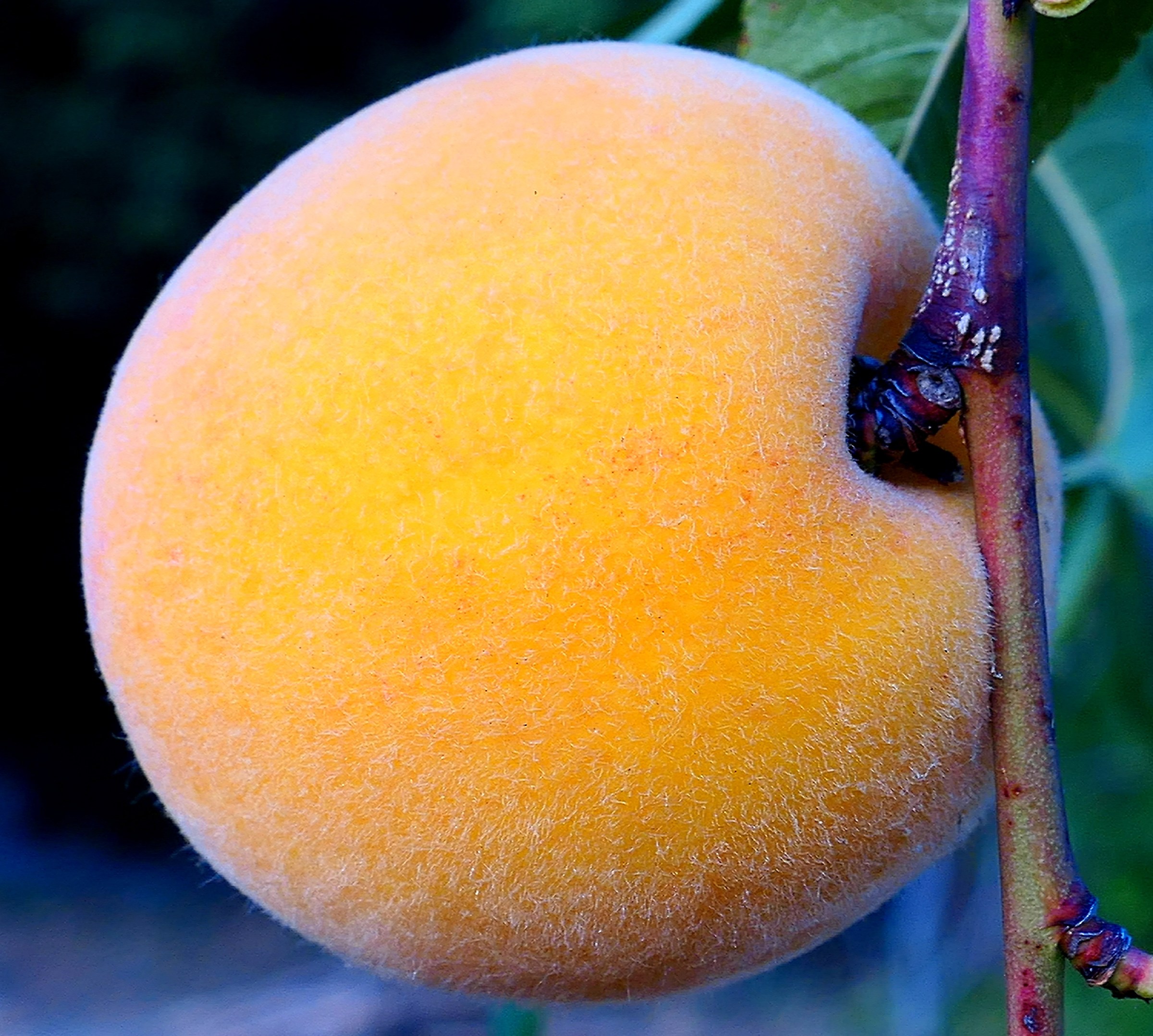 Small fishing .......