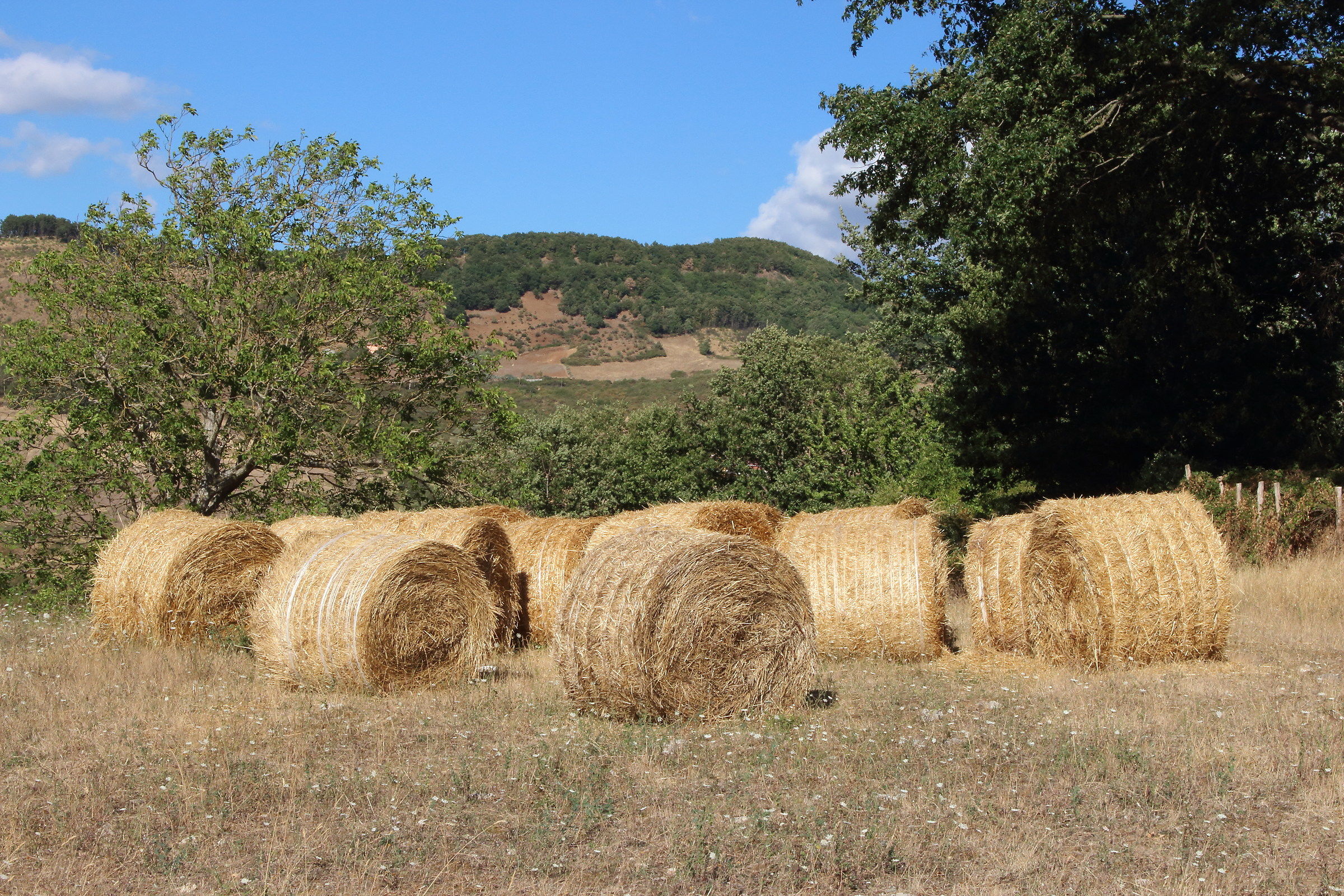 hay bales