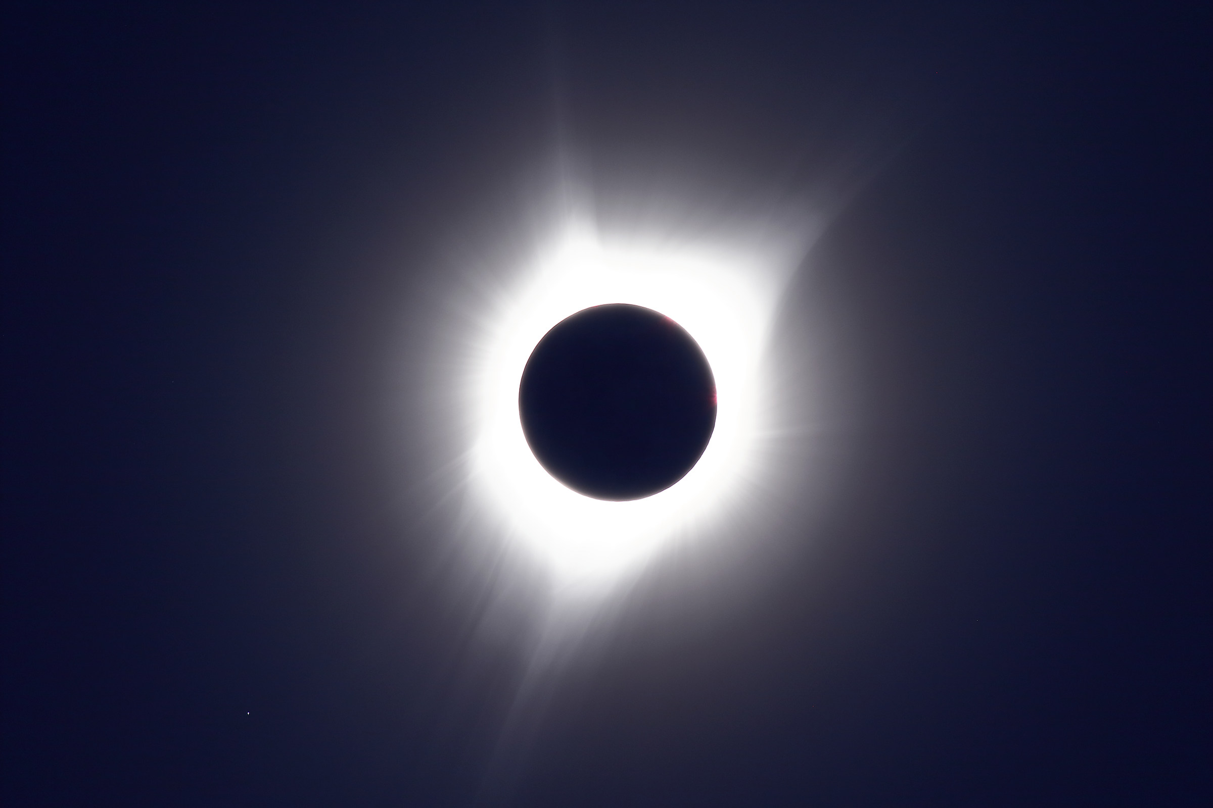 USA 2017 Eclipse Total Sun - Sunflower