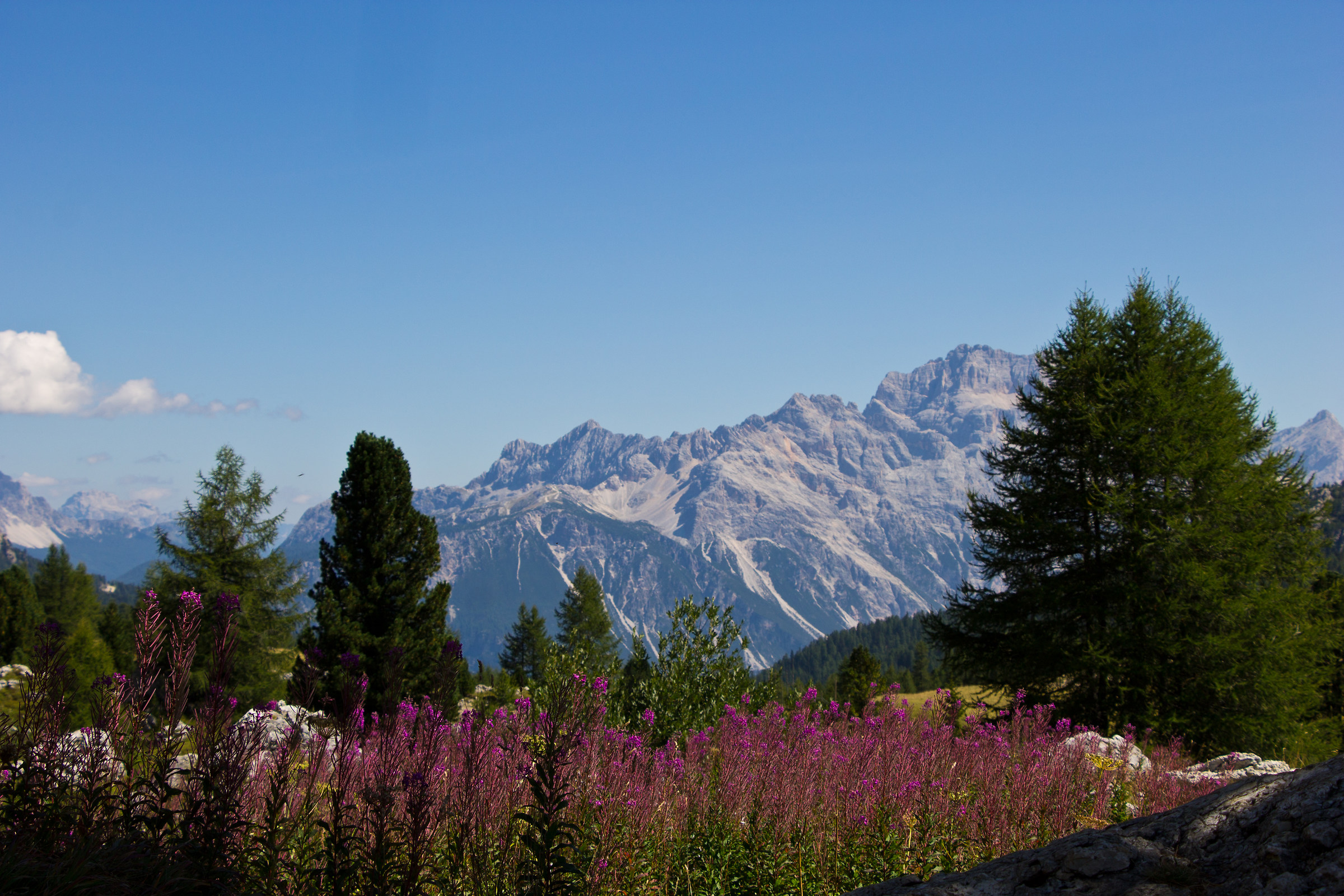 The shoulders of Sorapis