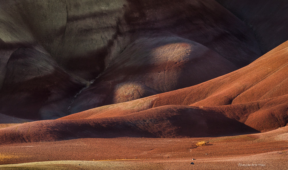 Prime luci sulle Painted Hills